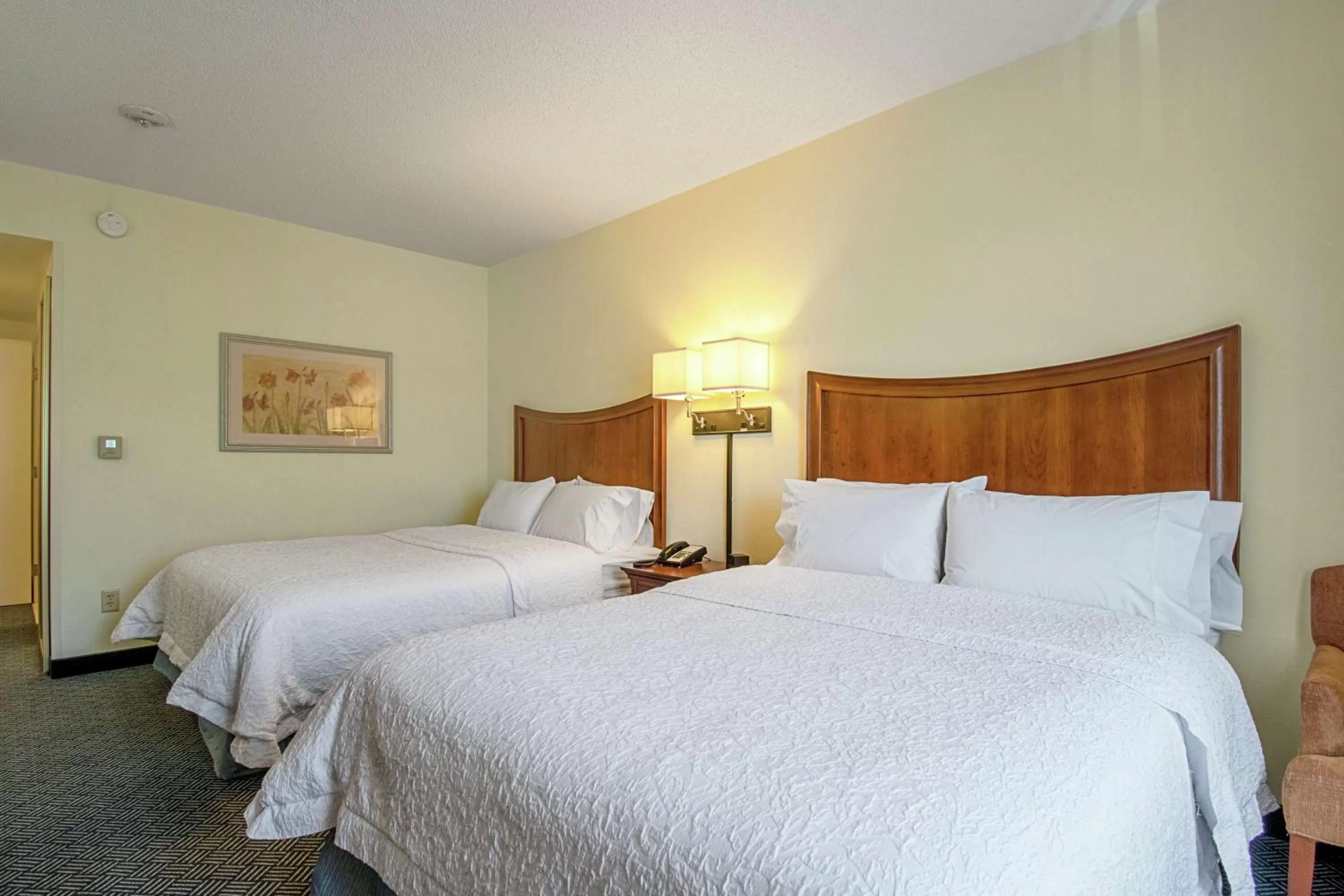 Queen Room with Two Queen Beds - Mobility and Hearing Access/Non-Smoking in Hampton Inn Pine Grove