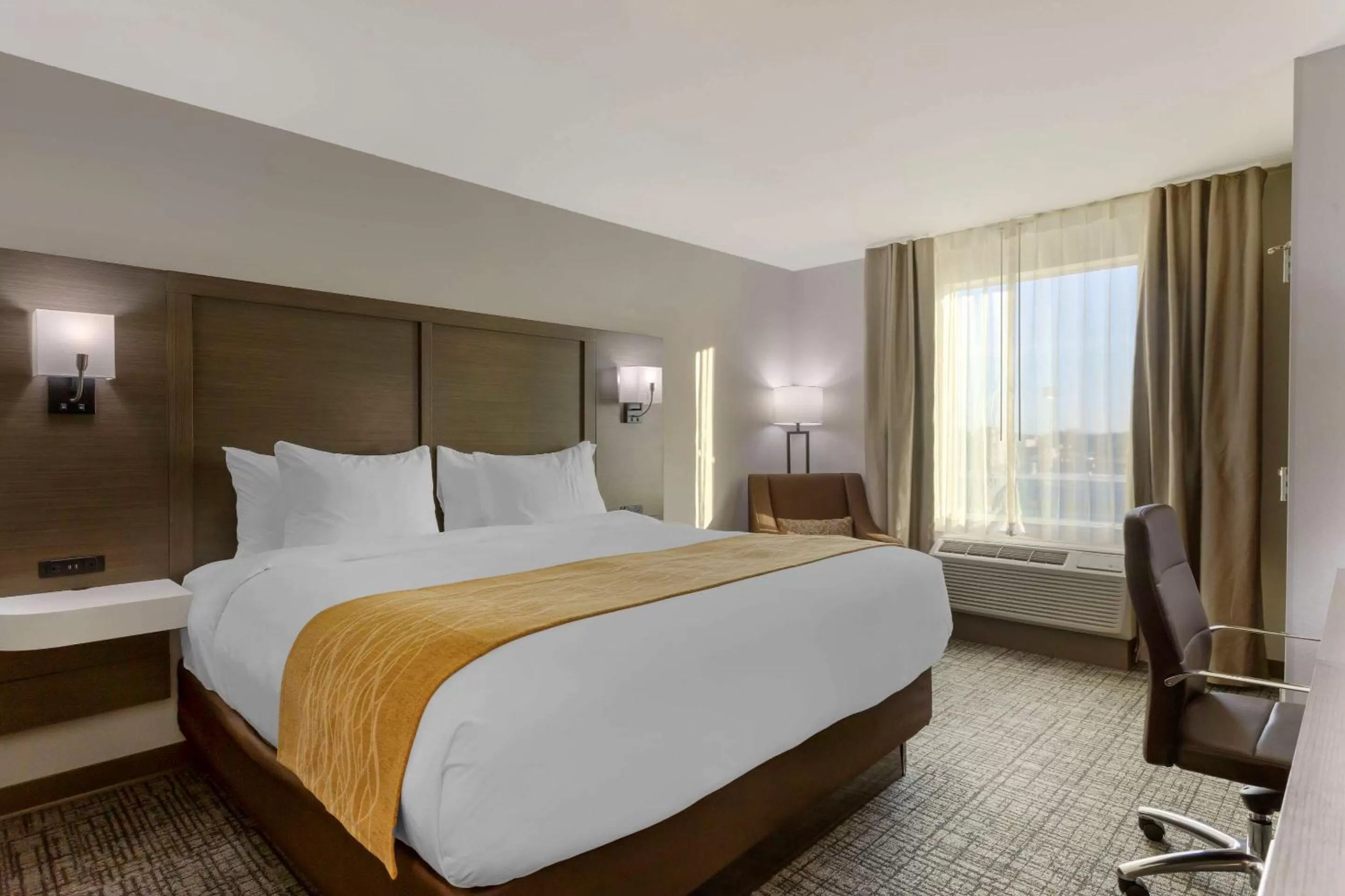 Standard King Room - Non Smoking in Comfort Inn Jonesboro