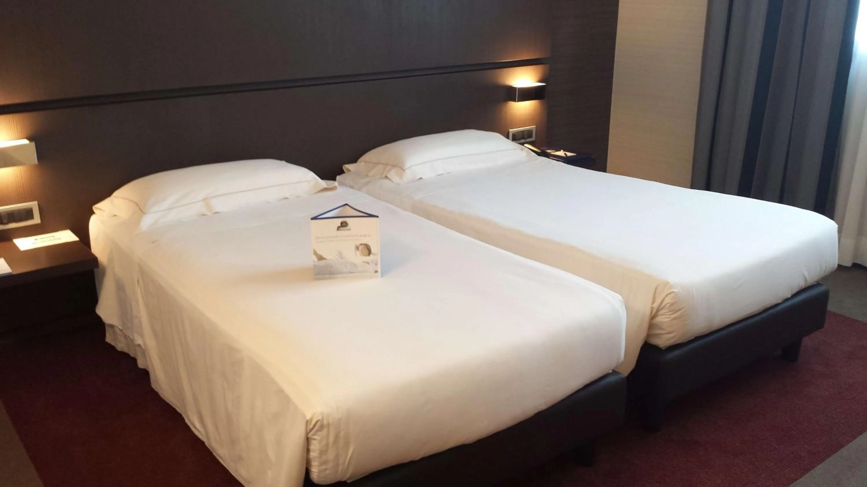 Superior Twin Room in Best Western Plus Hotel Monza e Brianza Palace