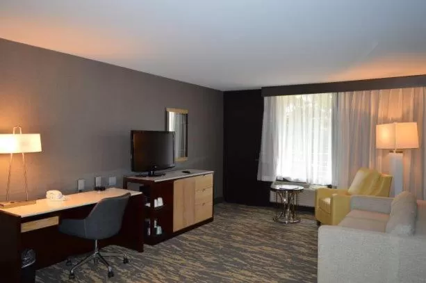 1 King Bed, One Bedroom Pool View Suite, Non-Smoking in Wyndham Lancaster Resort and Convention Center