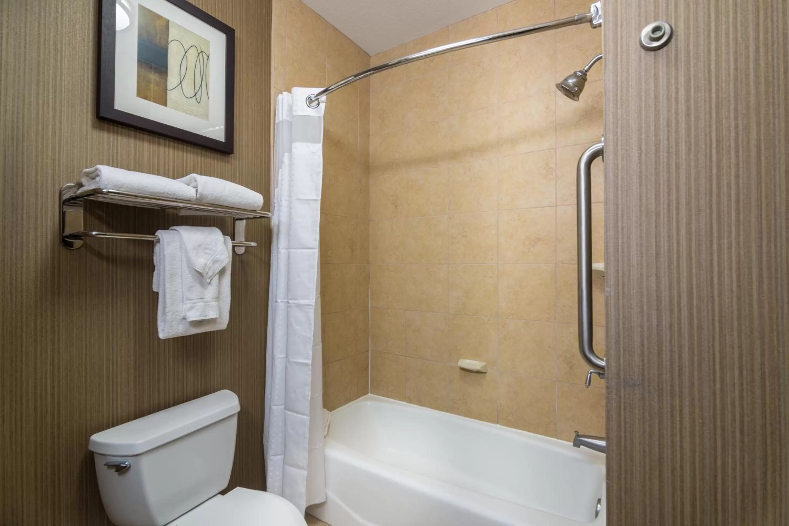 Standard King Room with Accessible Tub - Mobility Access in Holiday Inn Arlington Northeast by IHG