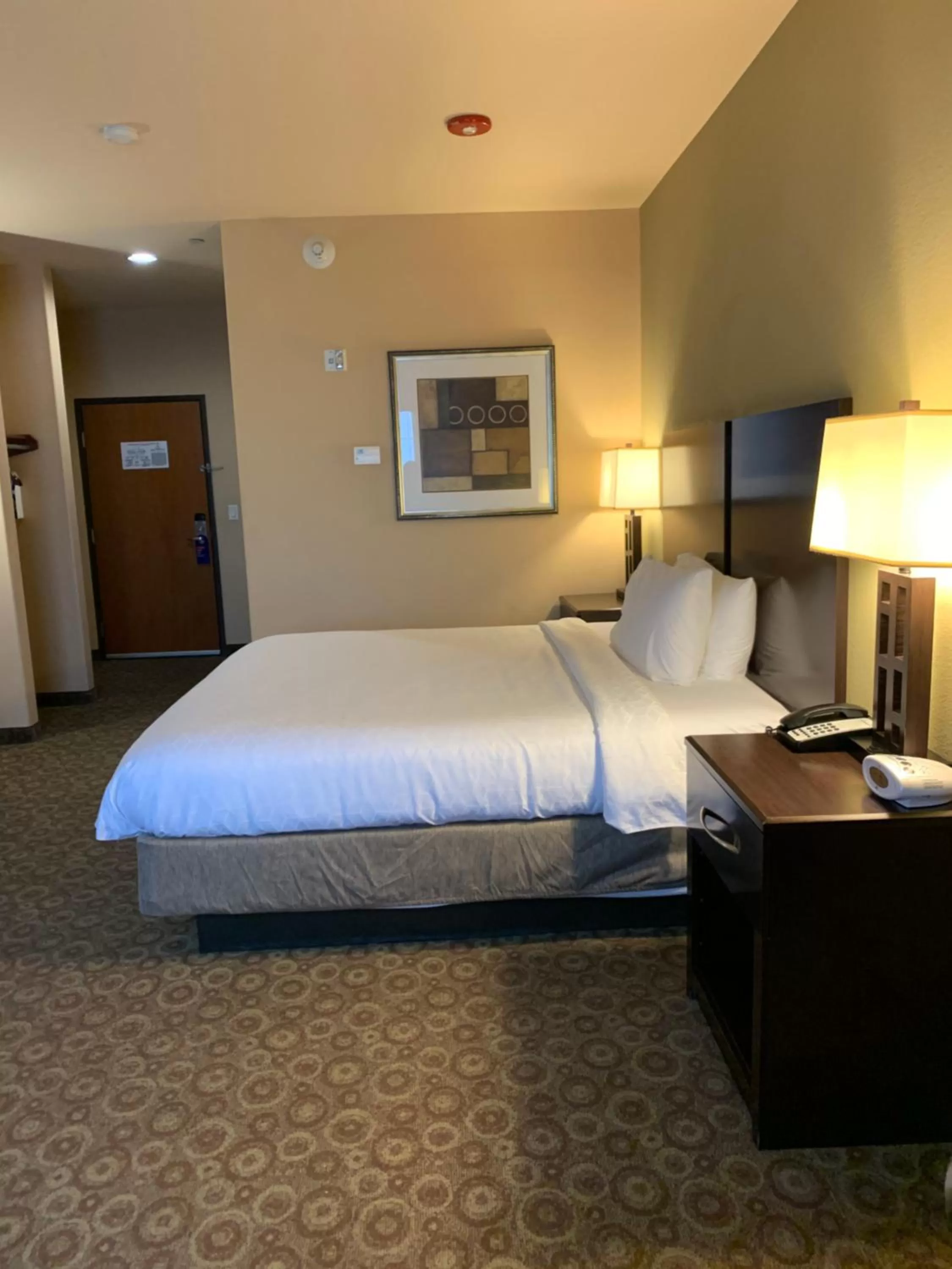 Standard Double or Twin Room in Holiday Inn Express & Suites Pecos, an IHG Hotel