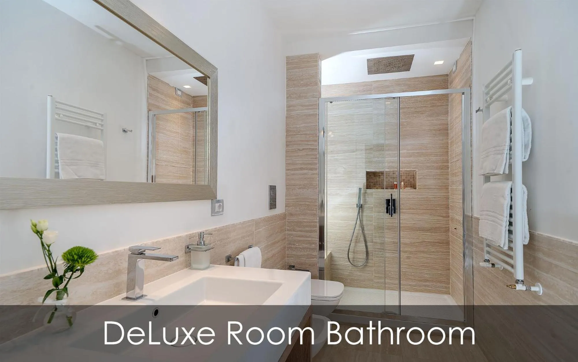 Deluxe Double Room in Hotel Olimpico