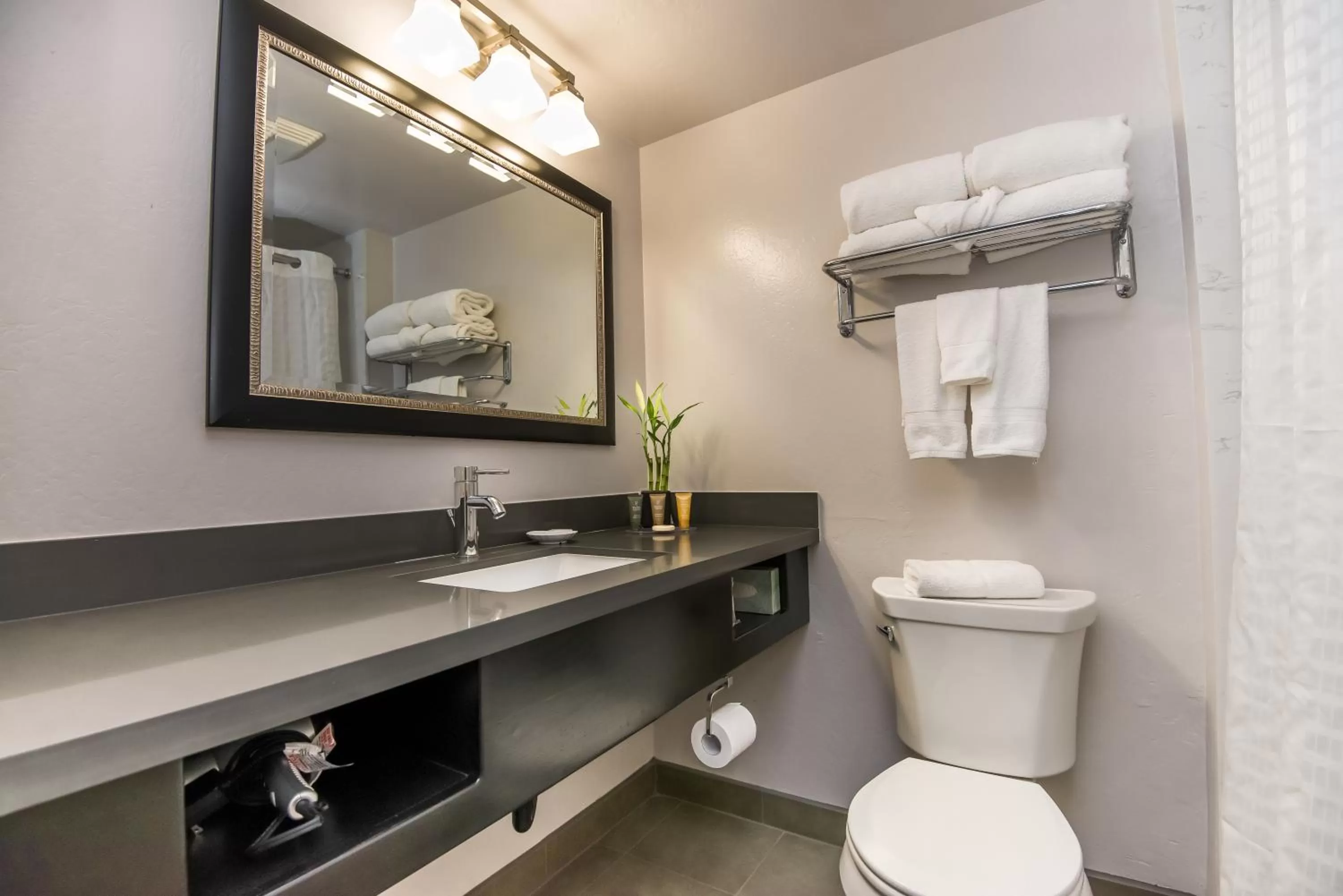 Classic Two Doubles in Flamingo Resort & Spa Santa Rosa Sonoma, Tapestry by Hilton