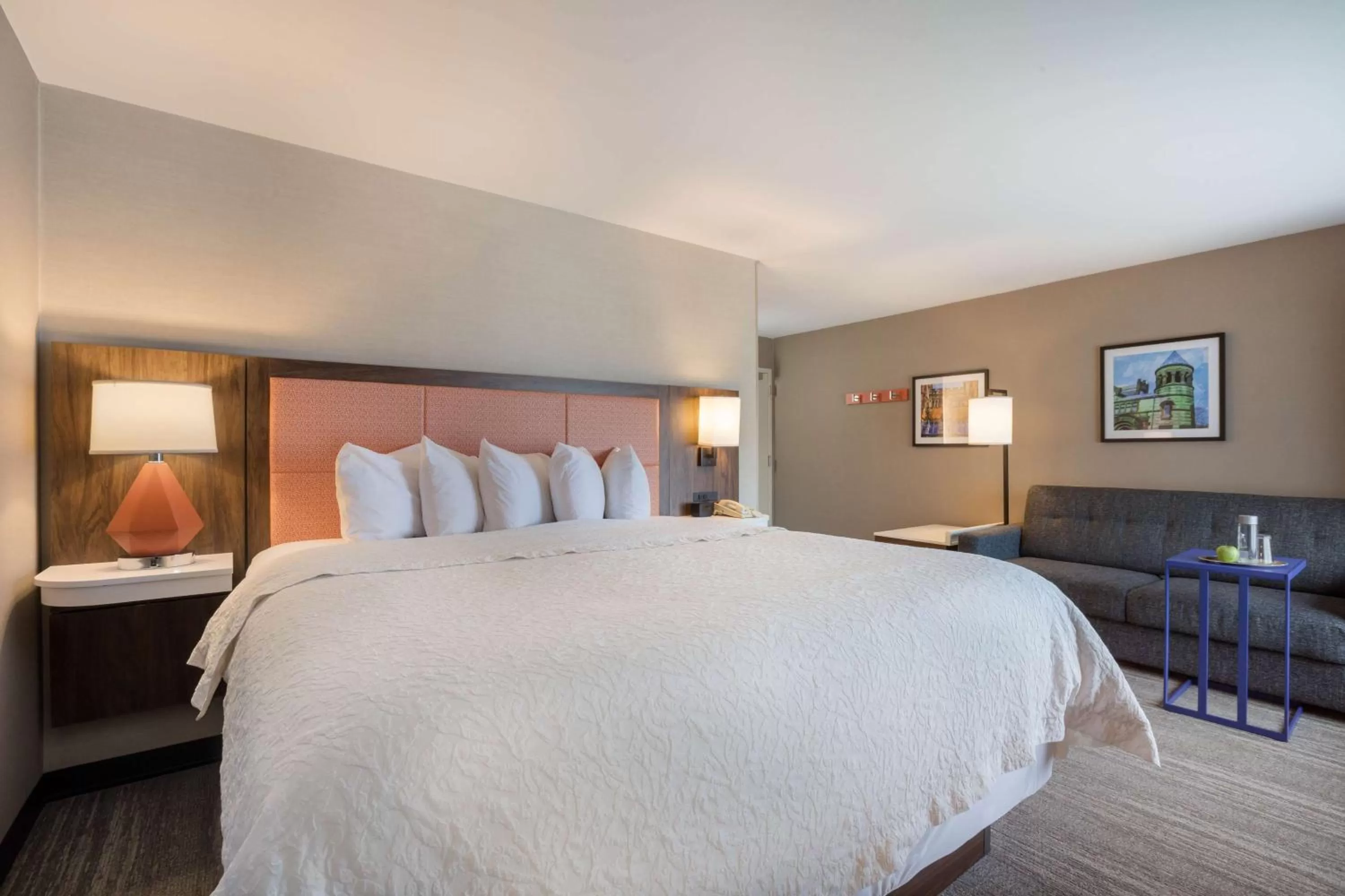 King Room with Sofa Bed - Hearing Accessible in Hampton Inn Princeton