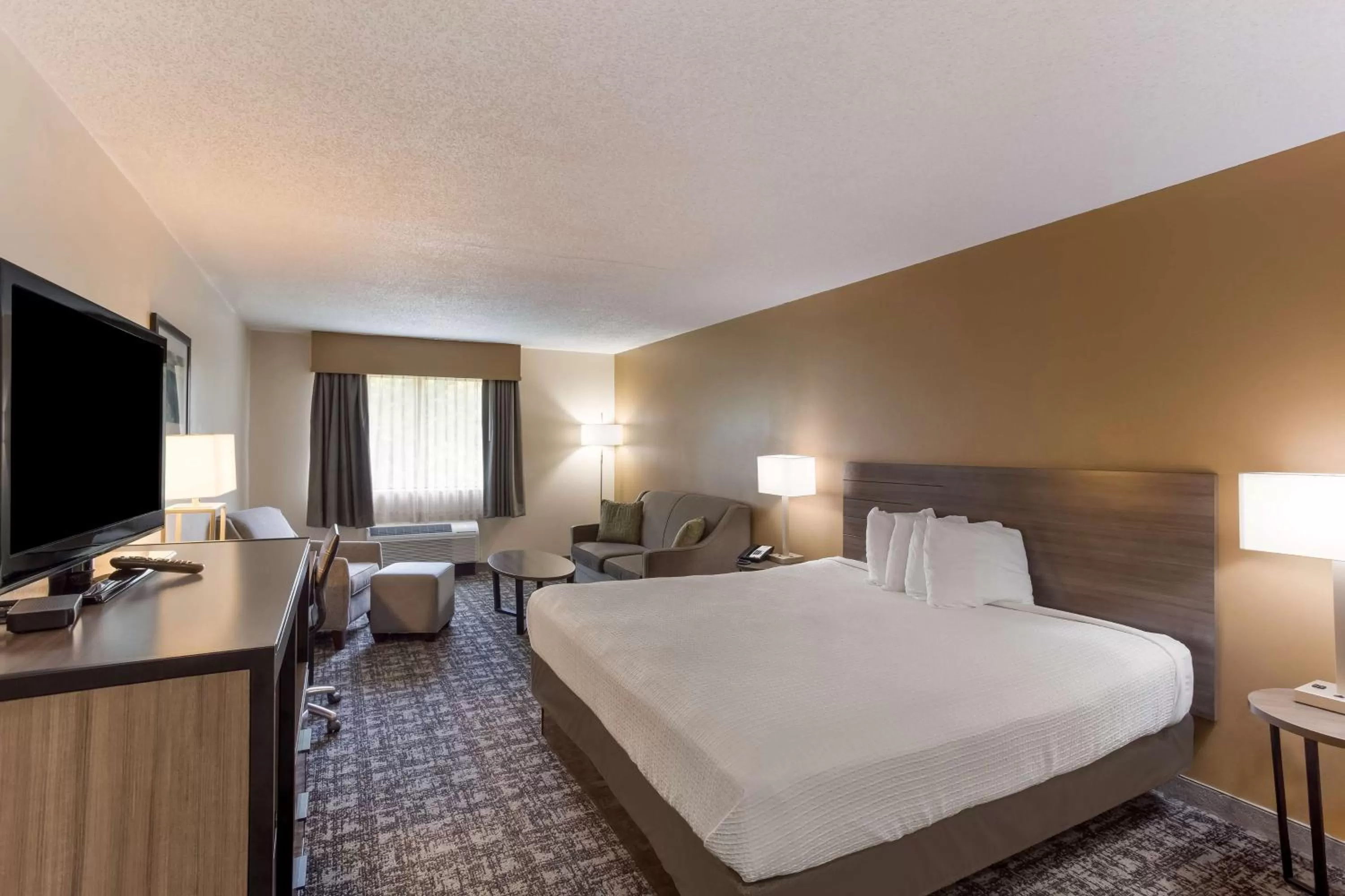 Executive King Room in Best Western Logan Inn