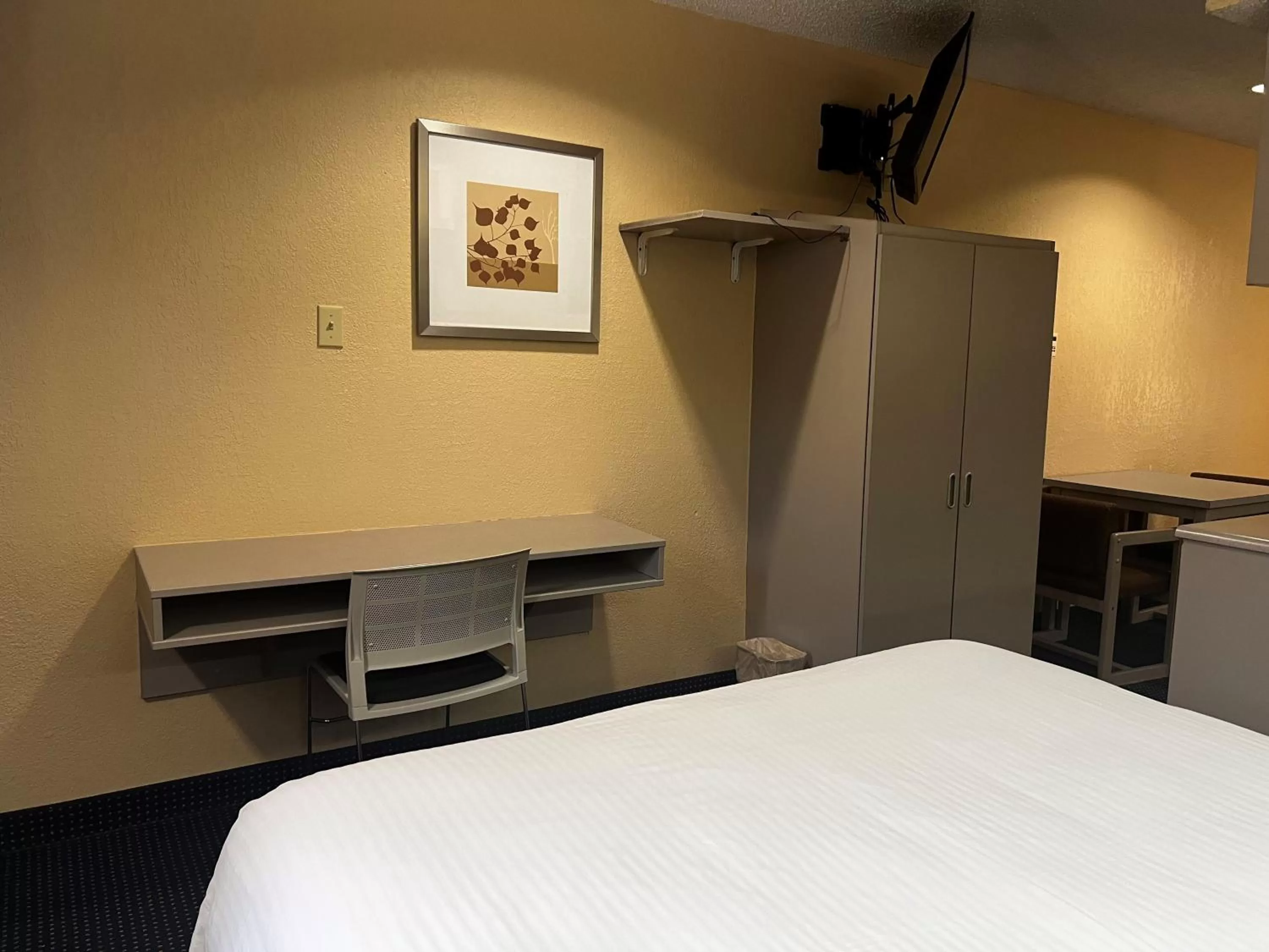 Queen Room - Disability Access/Non-Smoking in Microtel Inn & Suites by Wyndham Houston/Webster/Nasa/Clearlake