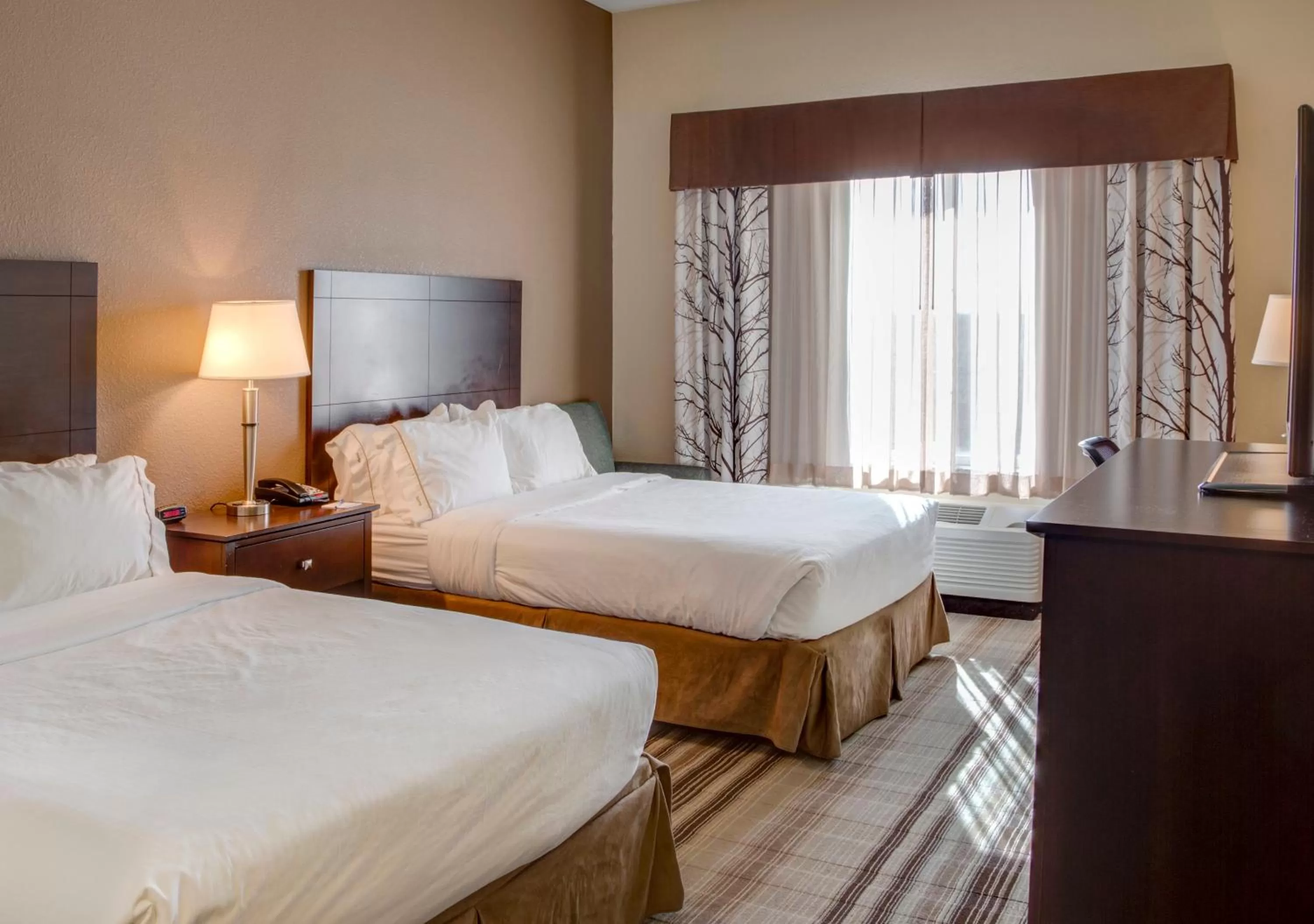 Double Suite in Holiday Inn Express & Suites Nevada by IHG