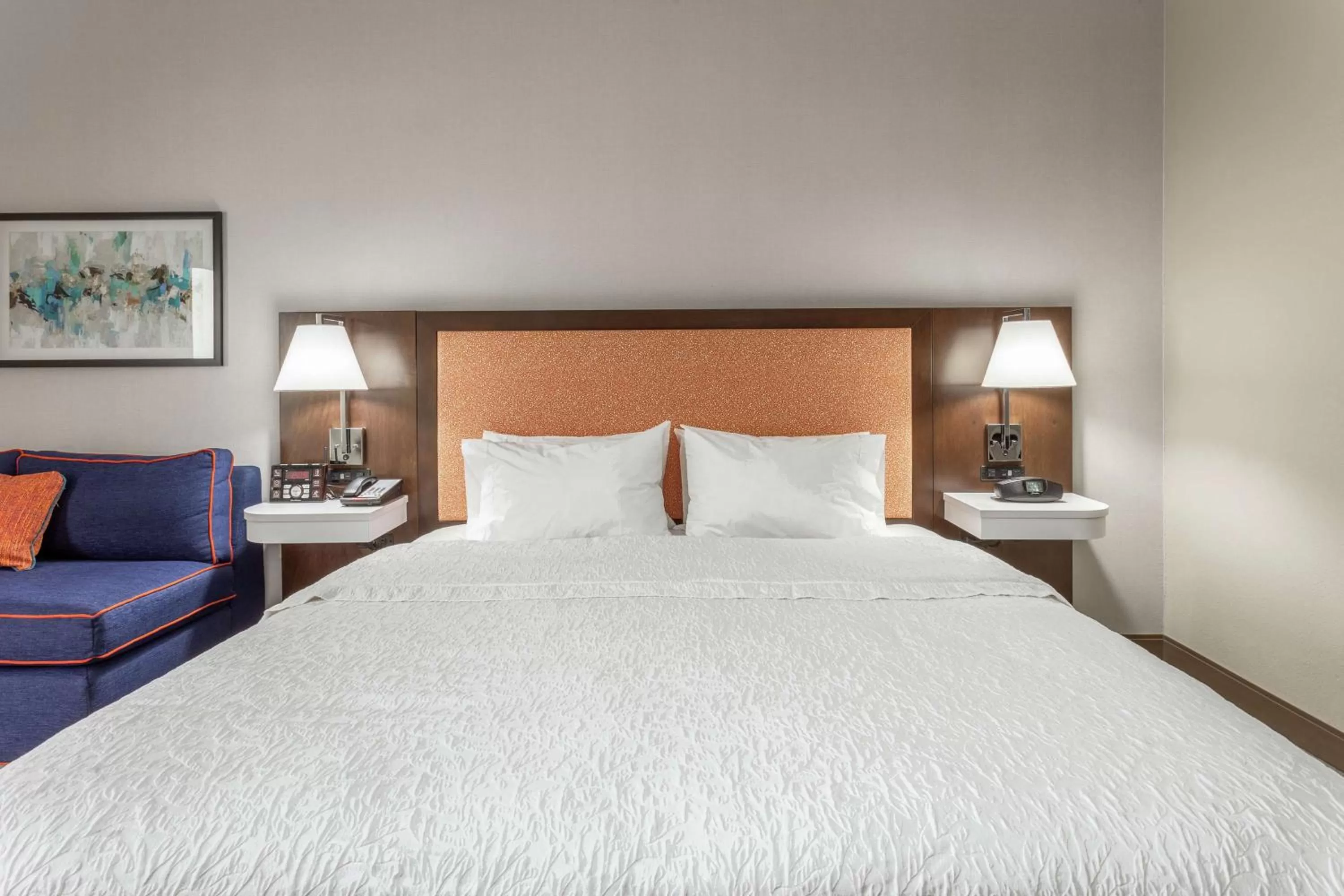 King Room with Roll-In Shower - Mobility Access/Non-Smoking in Hampton Inn Jefferson City at Capital Mall