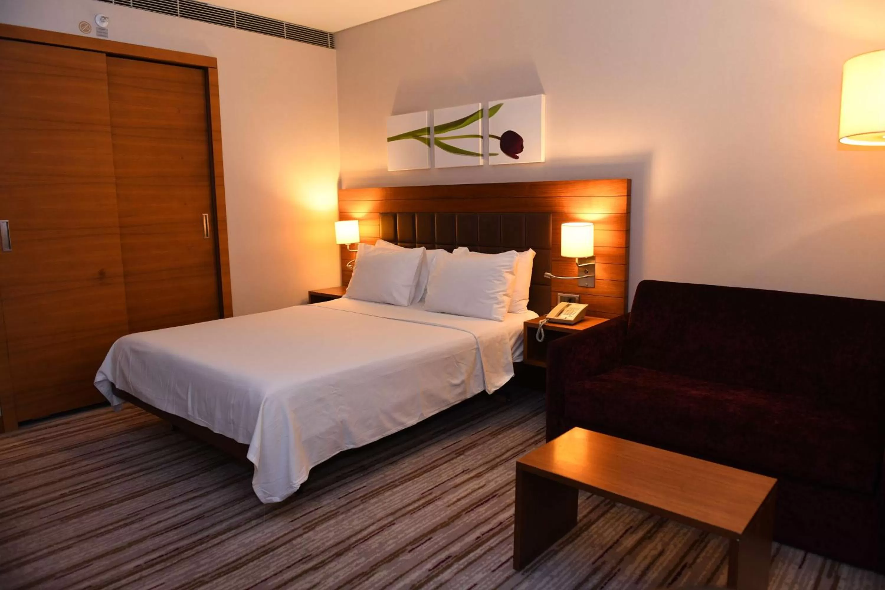 Queen Family Room with Sofa Bed in Hilton Garden Inn Konya