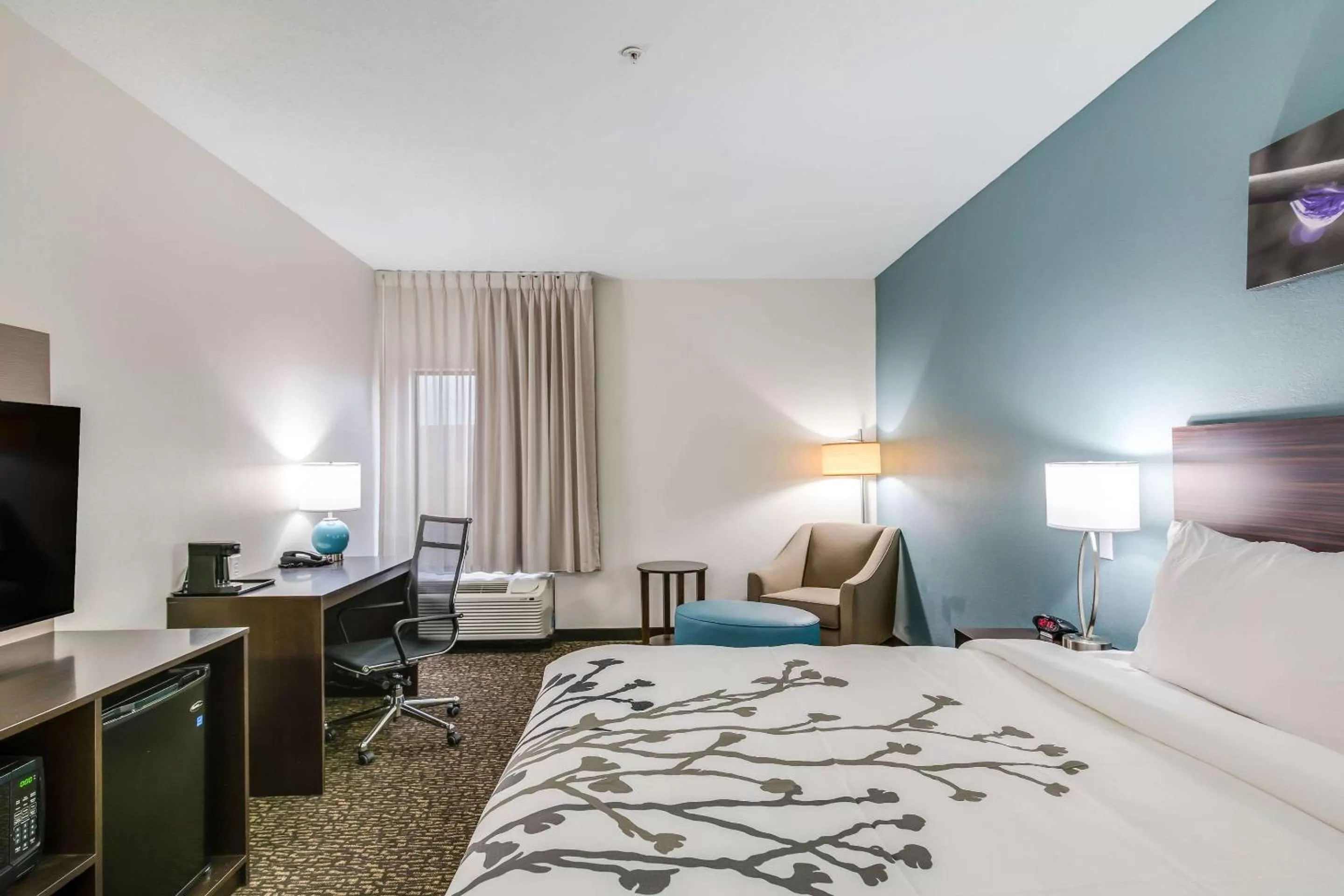 Standard King Room - Non Smoking in Sleep Inn