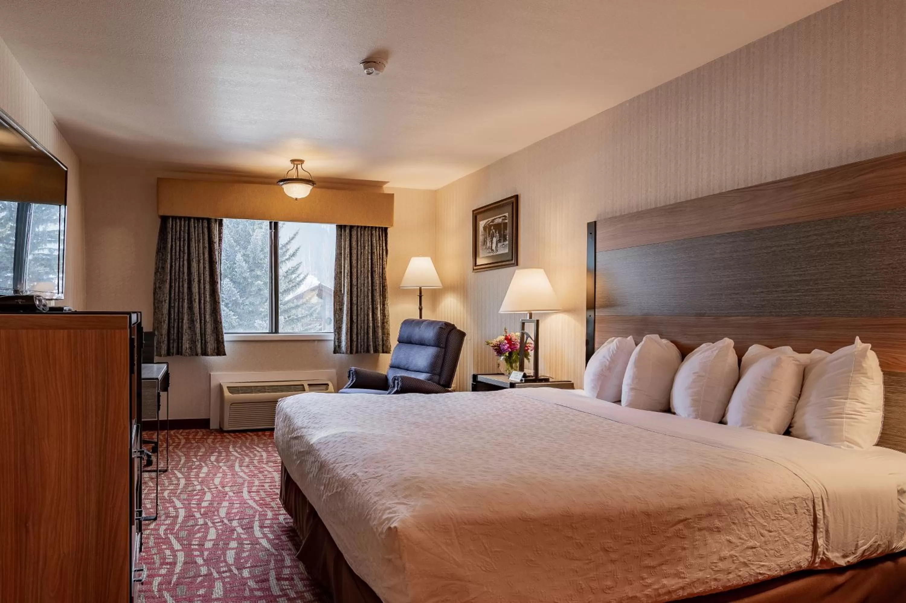 Standard King Room - single occupancy in 49'er Inn & Suites