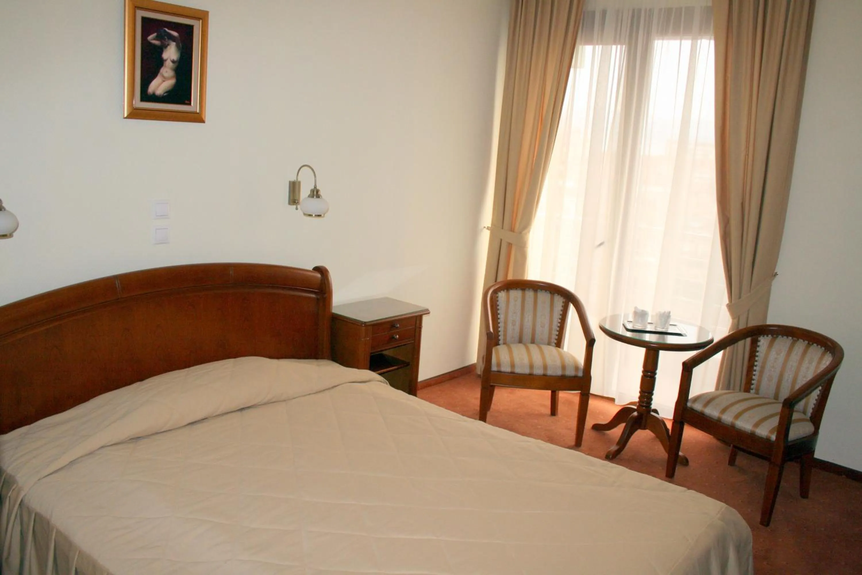 Double or Twin Room - single occupancy in Hotel Sarmis