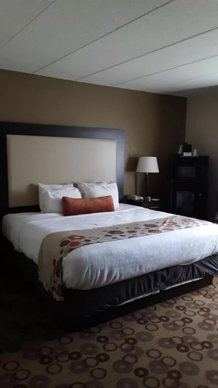 Suite - Mobility Access/Non-Smoking in Spark by Hilton Cedar Falls