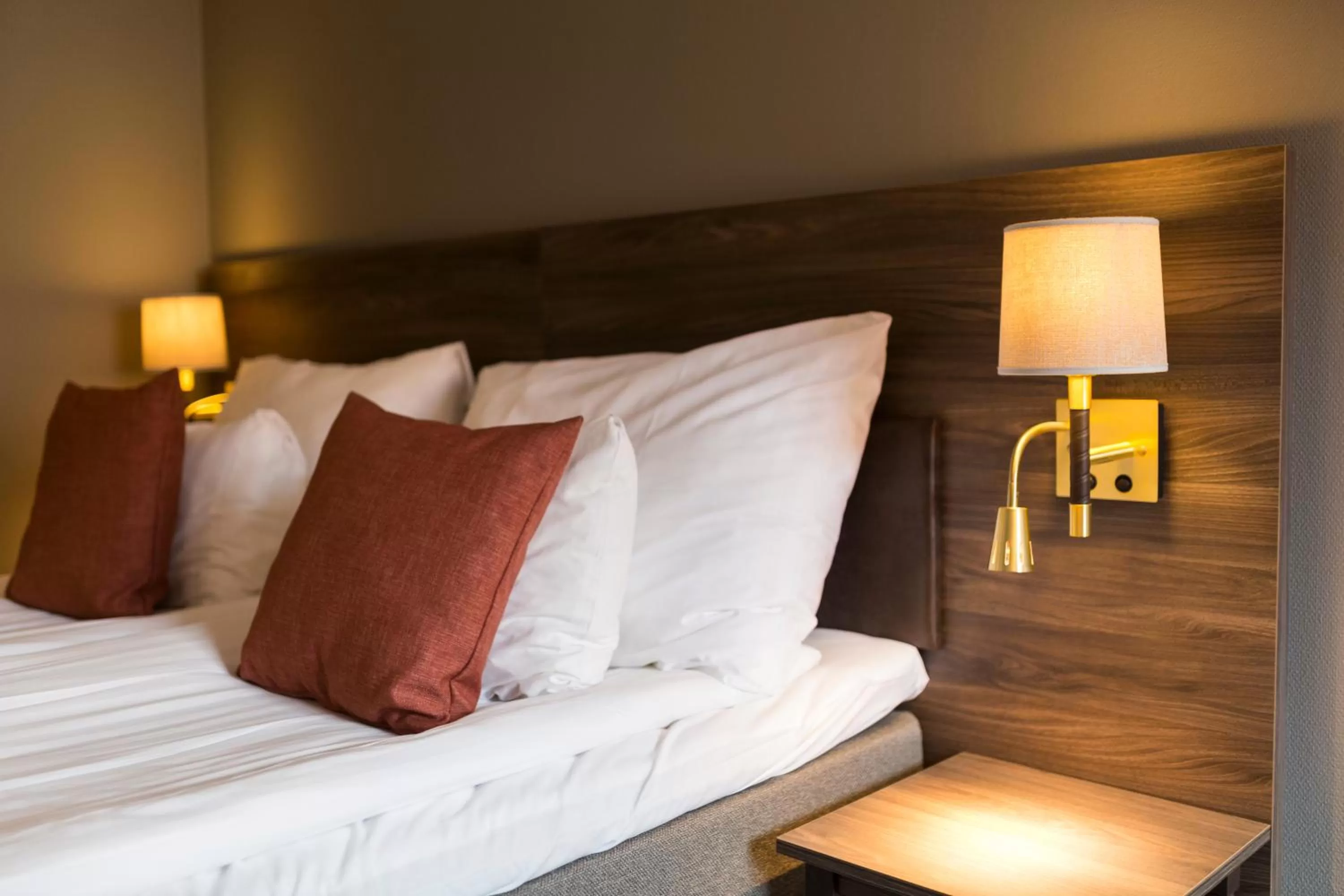 Deluxe Double Room in Clarion Collection Hotel Uman