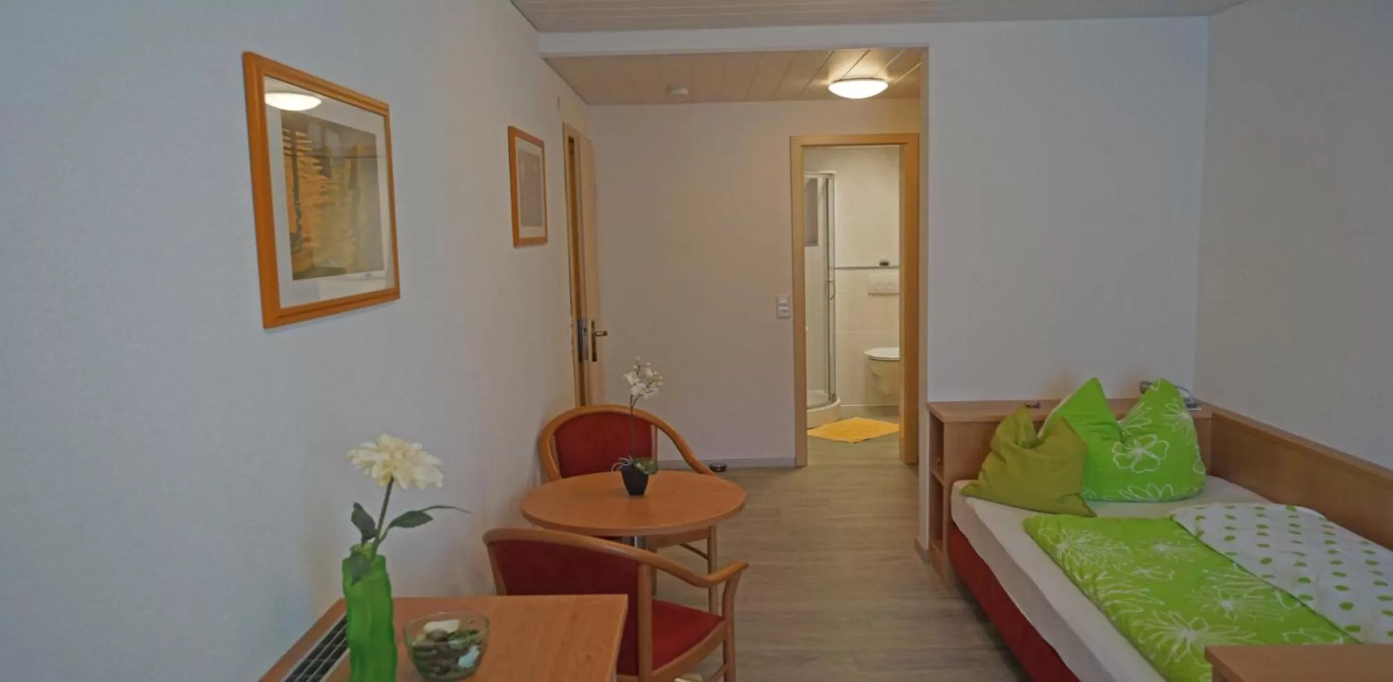 Economy Double Room - single occupancy in Andi´s Steakhüsli & Hotel