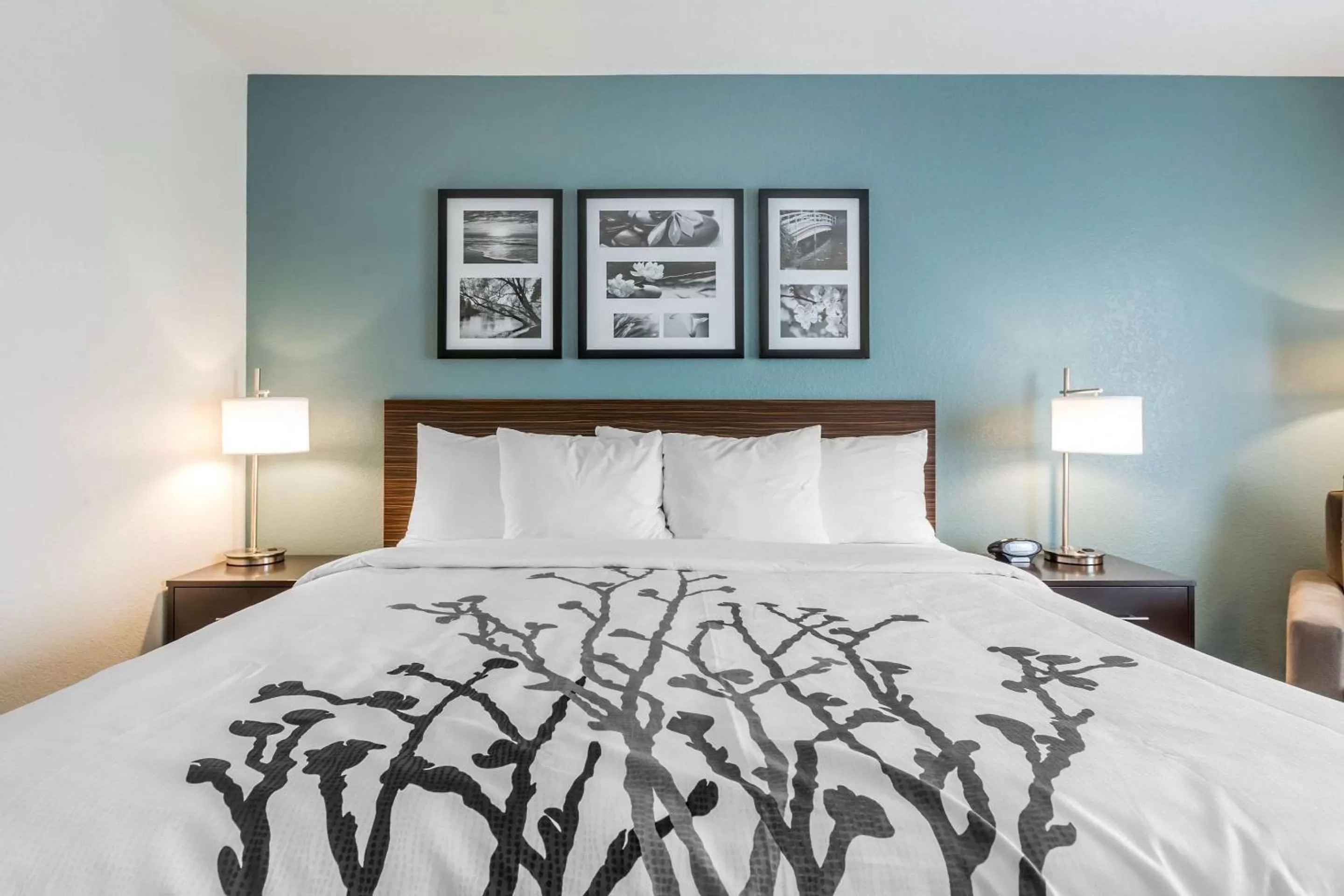 King Room - Non-Smoking in Sleep Inn & Suites West Des Moines near Jordan Creek