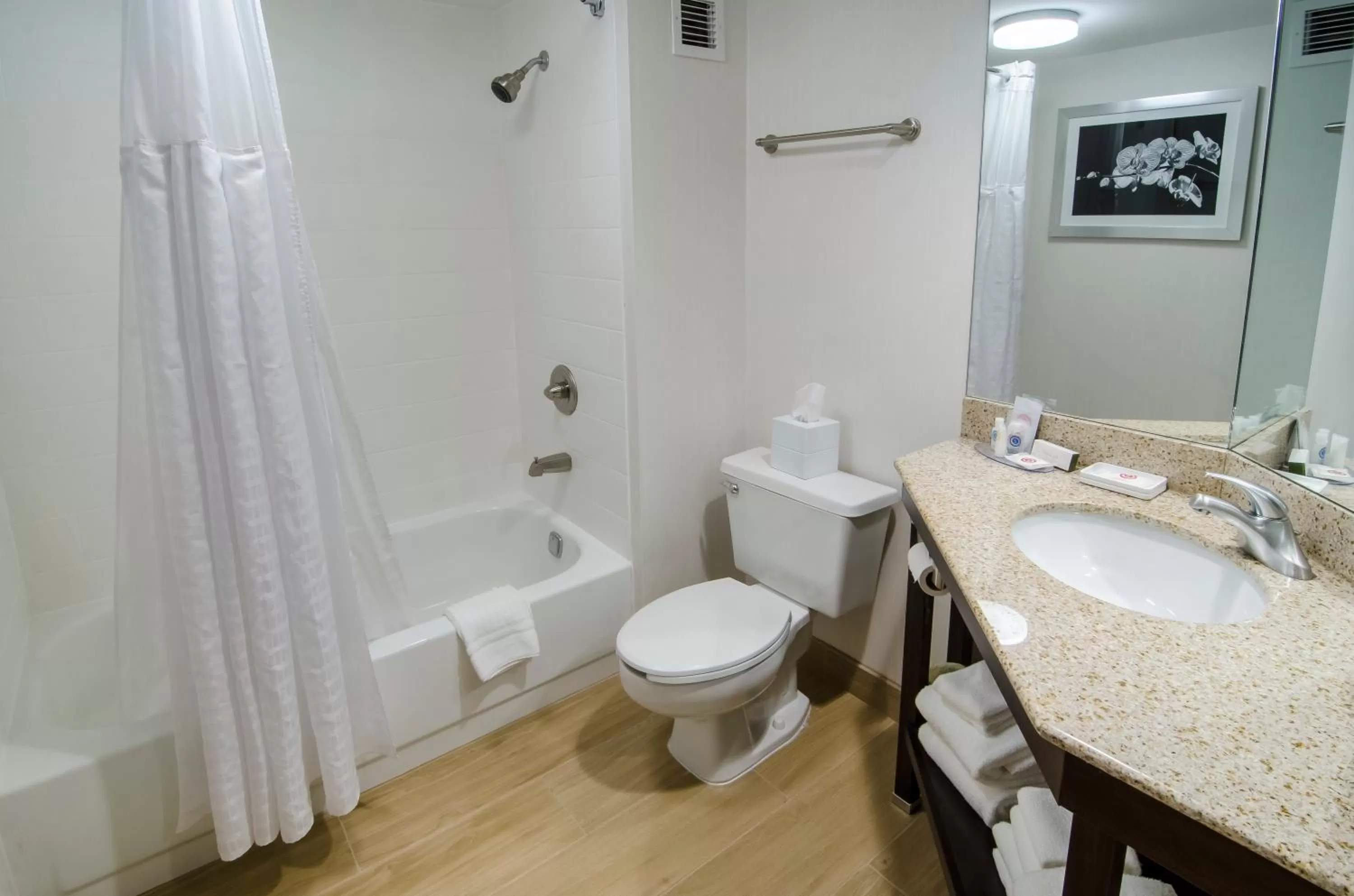 Superior Queen Room with Two Queen Beds - Non Smoking in Comfort Inn Raleigh Midtown