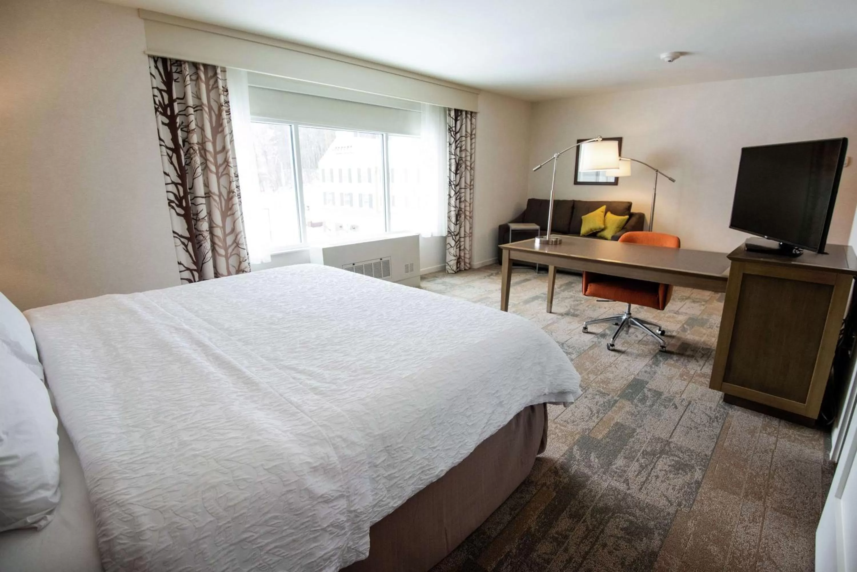 King Studio Suite - Non Smoking in Hampton Inn & Suites Manchester, Vt