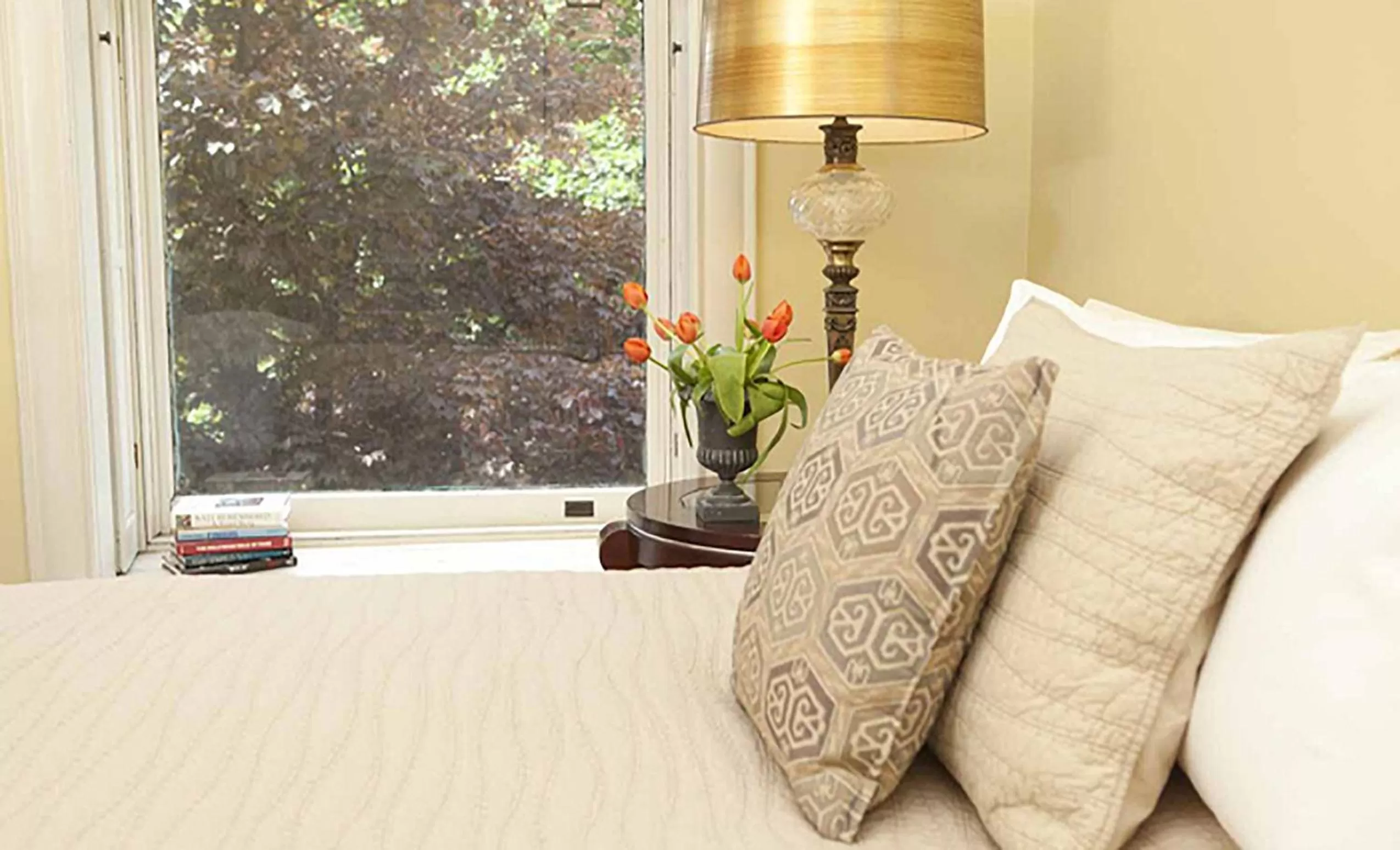 Deluxe Queen with Park View in Morgan State House Inn