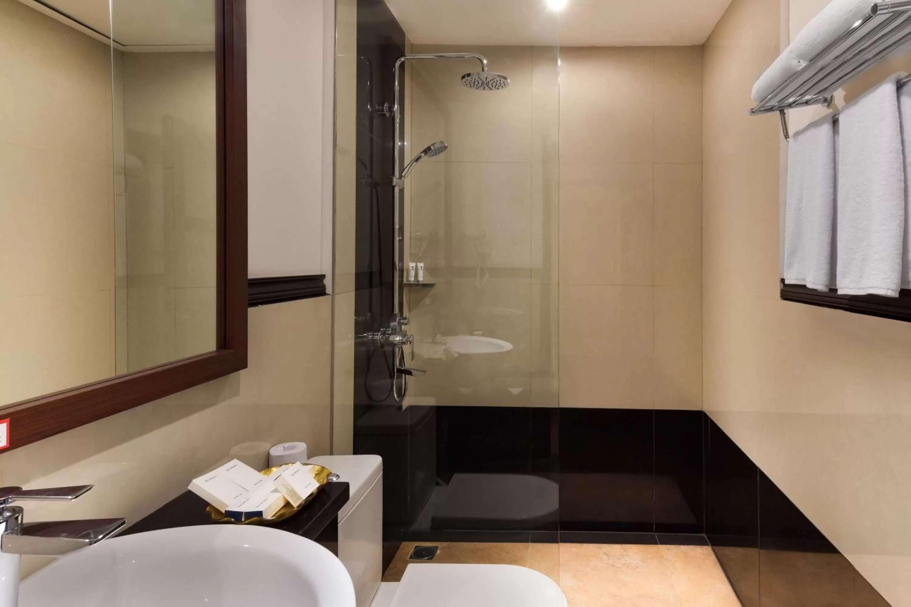 Superior Double Room with Shower - No Window/Non-Smoking in Best Western Senayan