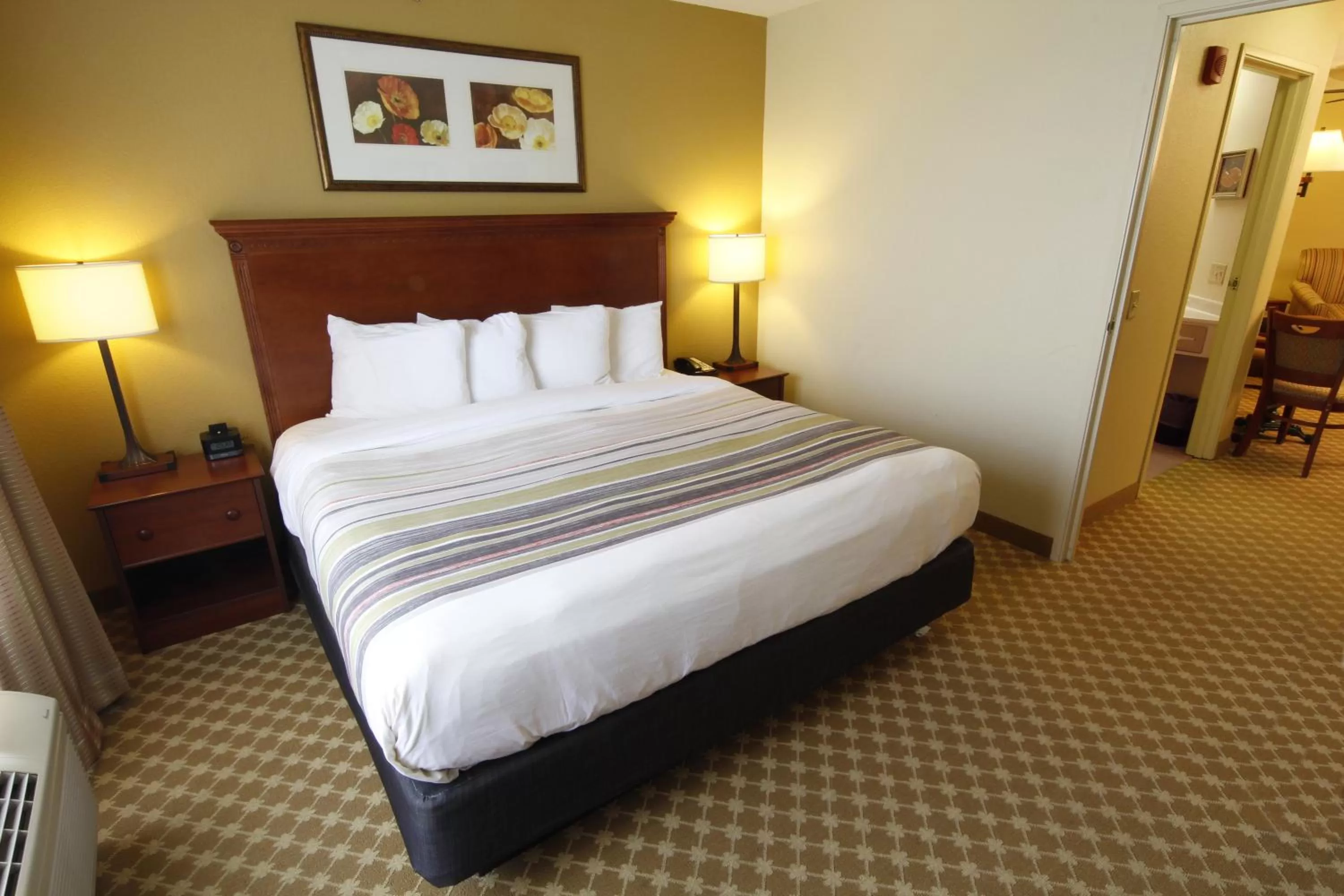 One-Bedroom King Suite in Country Inn & Suites by Radisson, Crystal Lake, IL