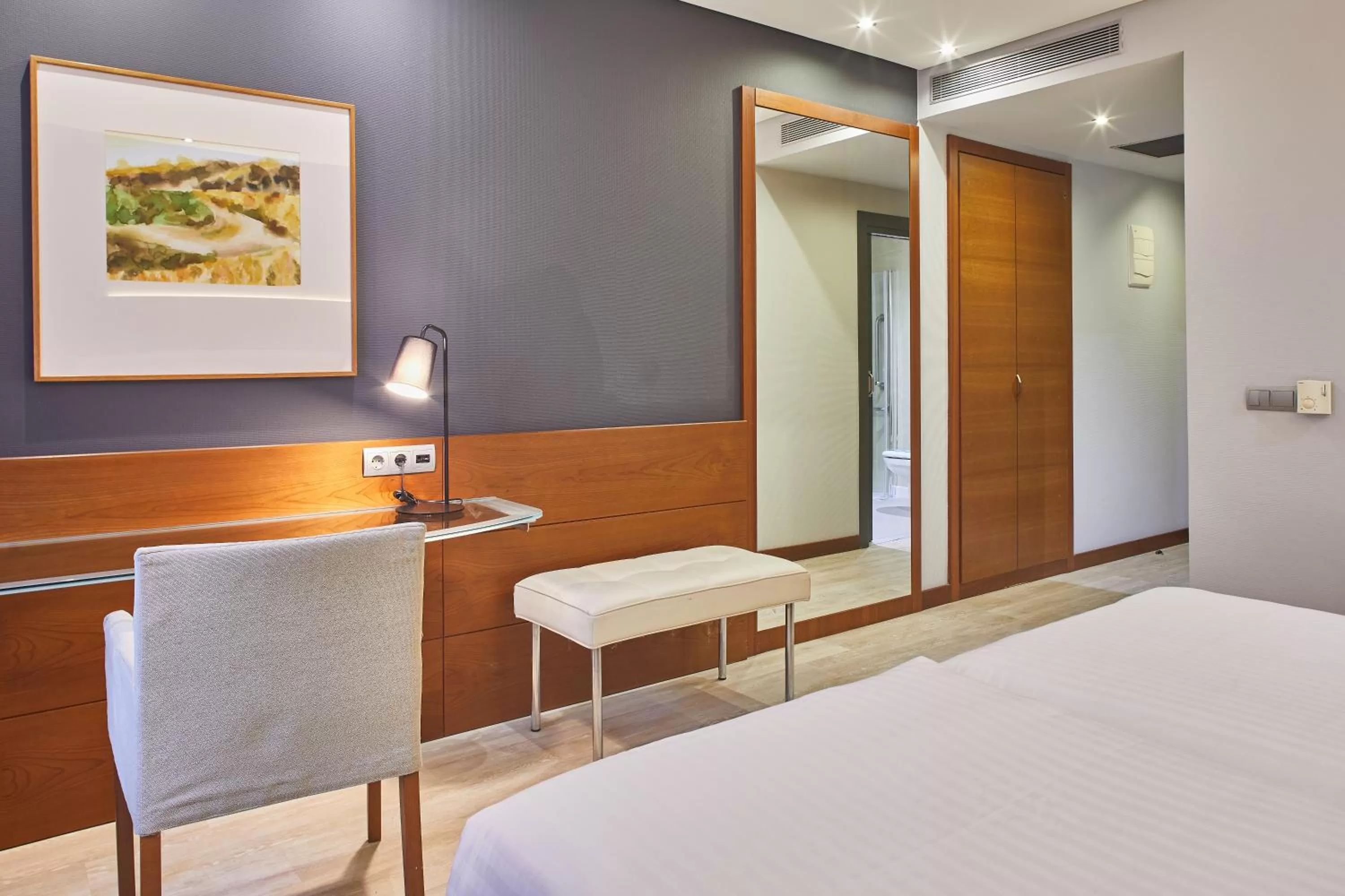 Standard Double or Twin Room with City View in Silken Coliseum