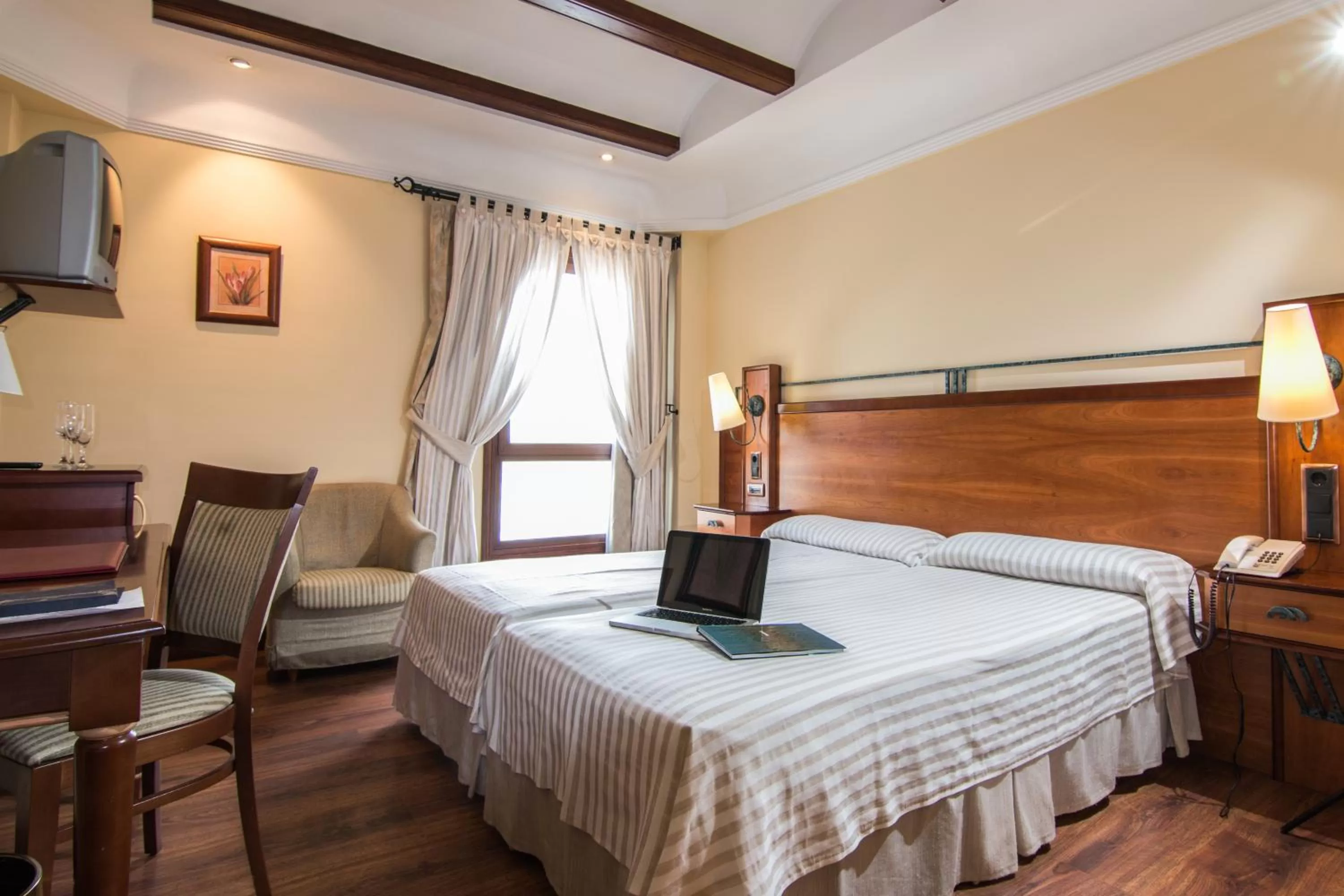 Twin Room Single Use in Hotel Abades Guadix