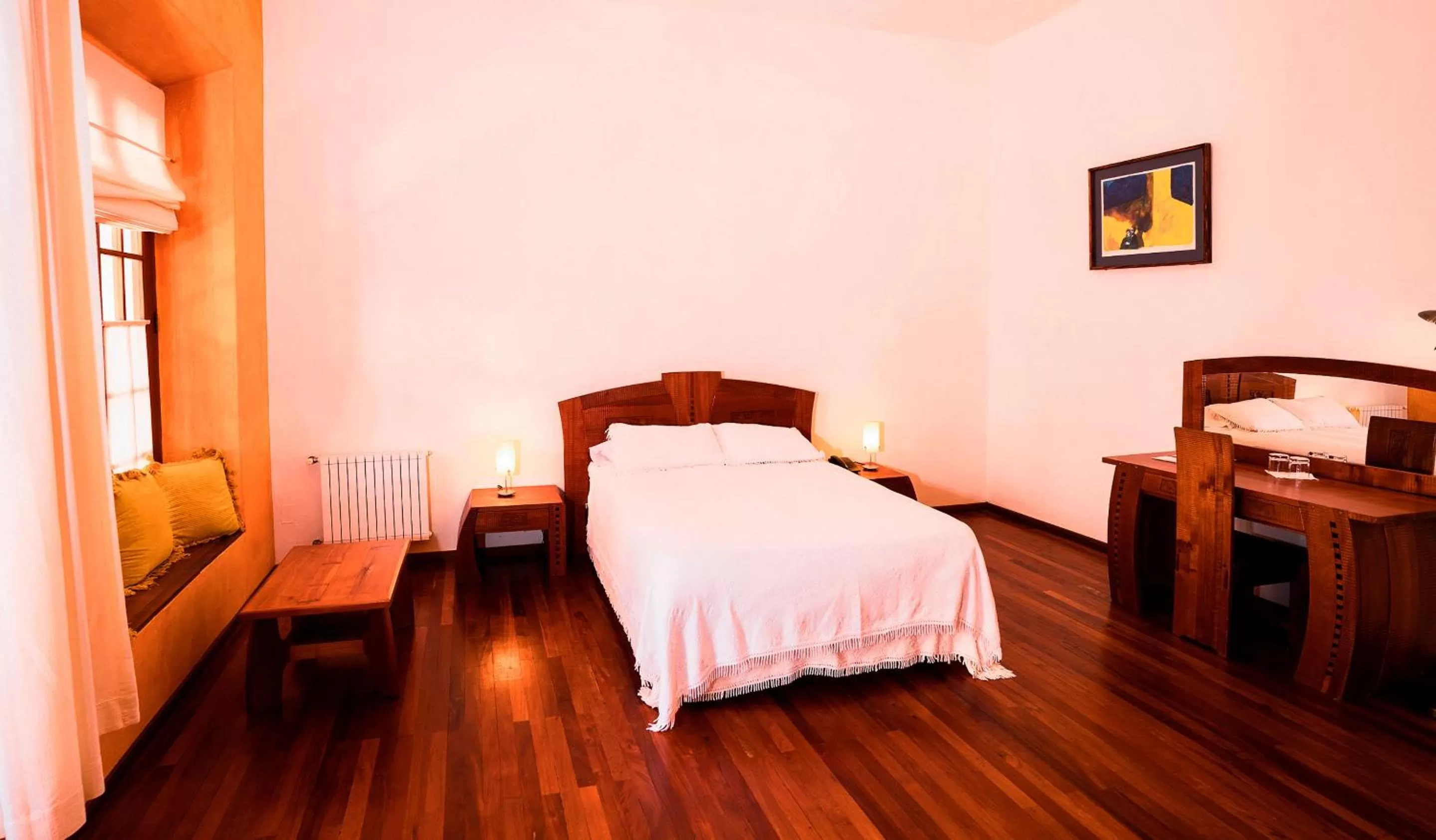 Double Room - single occupancy in Hotel Villa Antigua