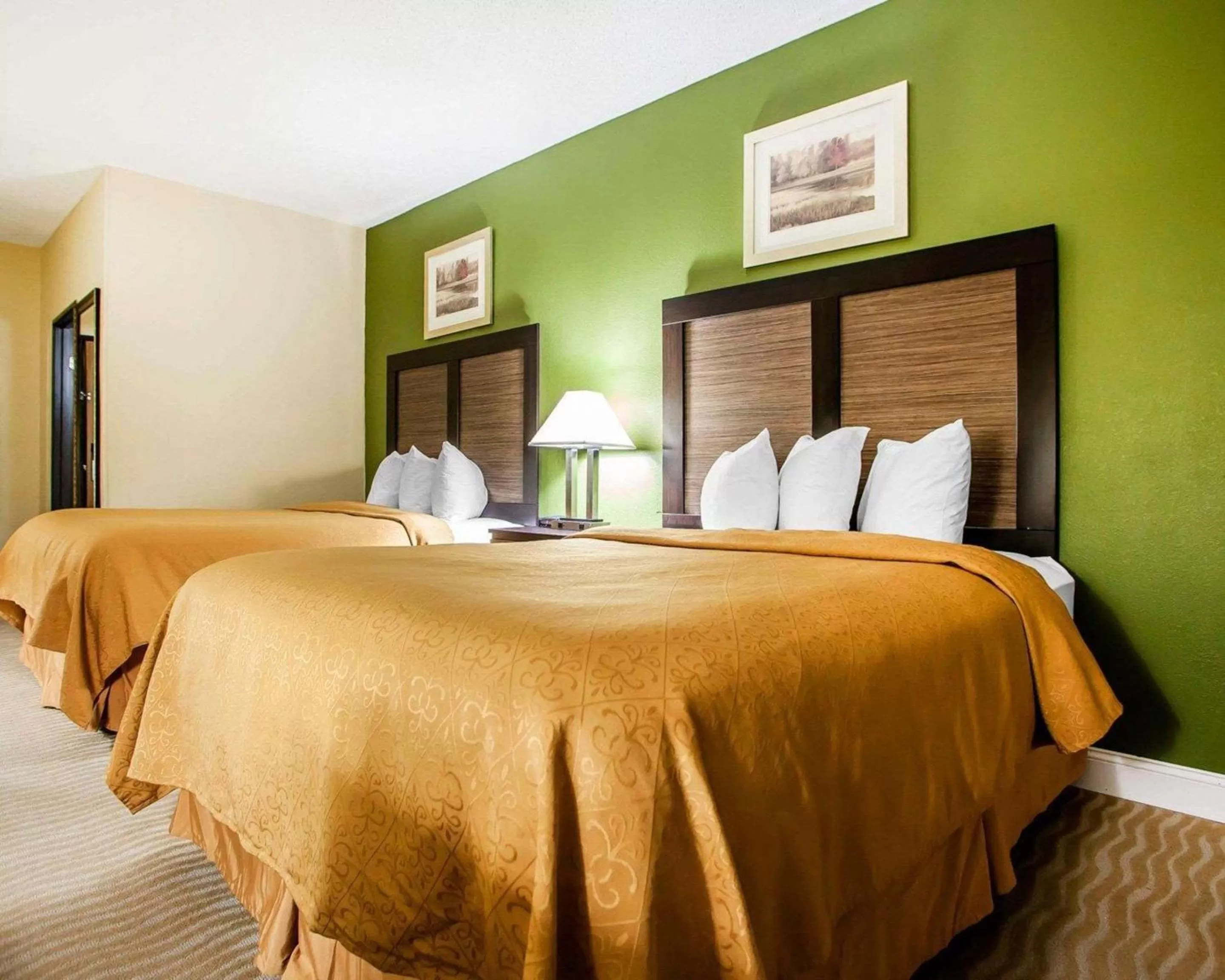 Queen Room with Two Queen Beds - Non-Smoking in Quality Inn & Suites Champaign North - Urbana