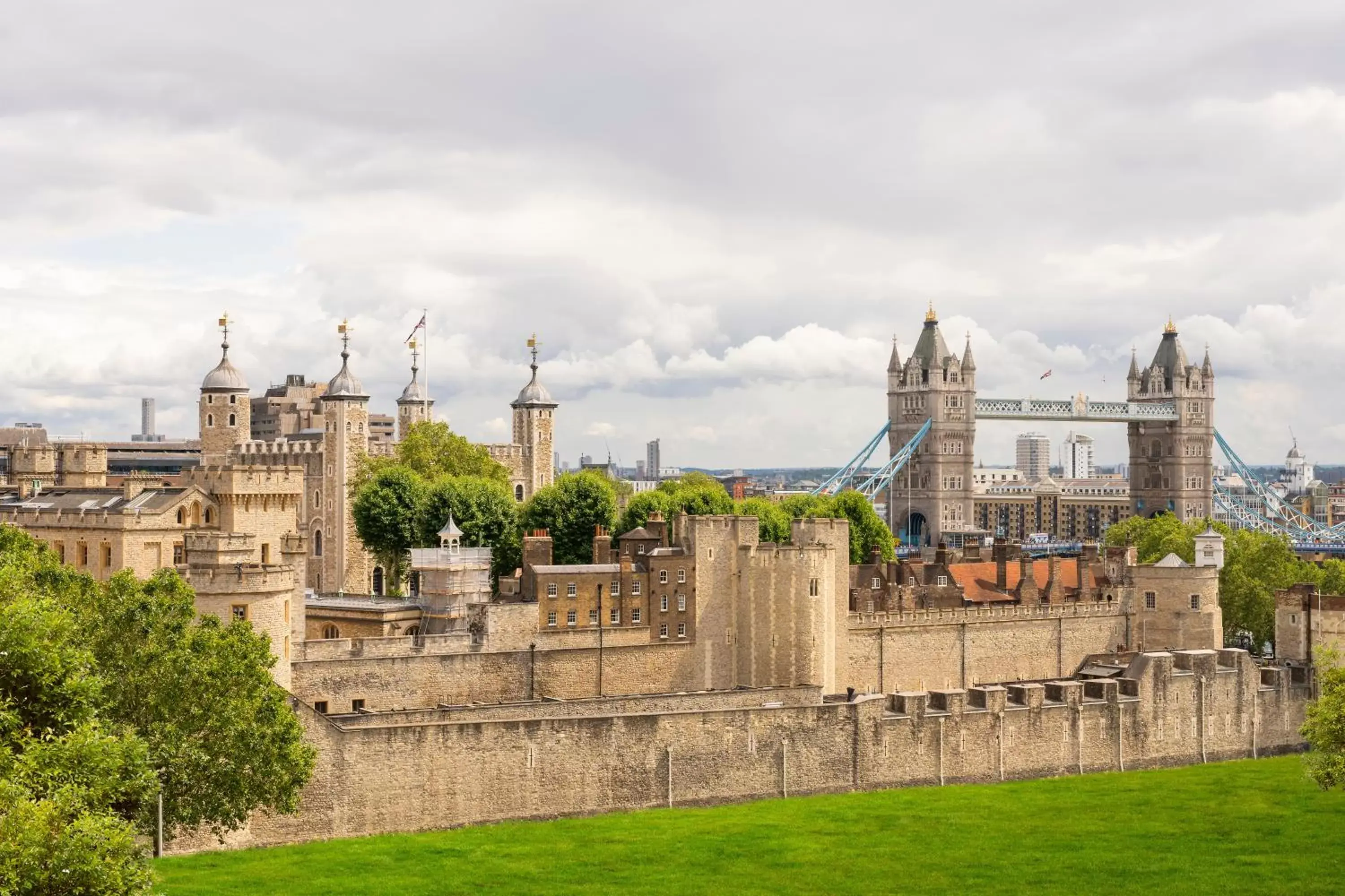 Tower Residences by Blue Orchid Tower Residences by Blue Orchid