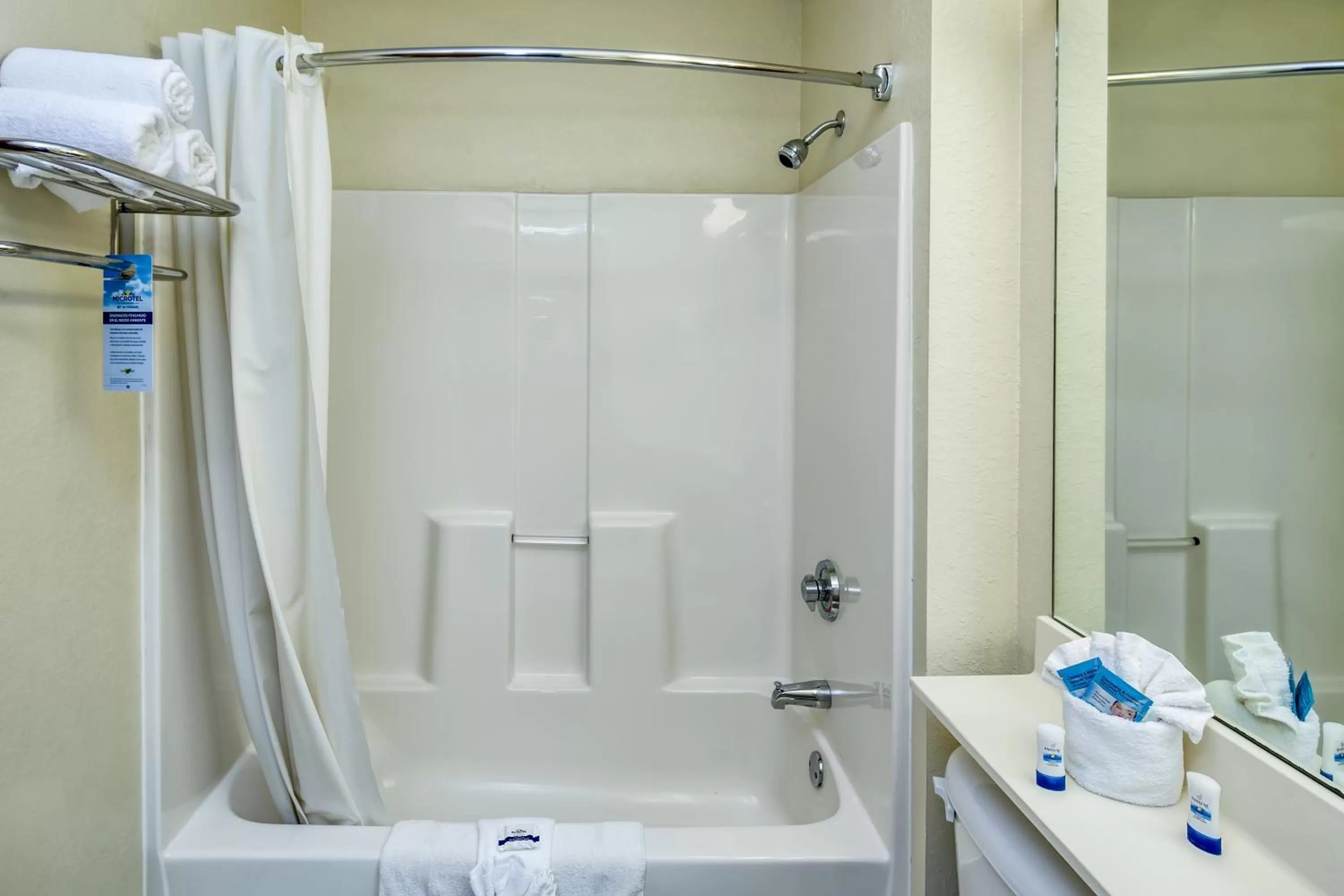 Queen Room - Non-Smoking in Microtel Inn & Suites Leesburg