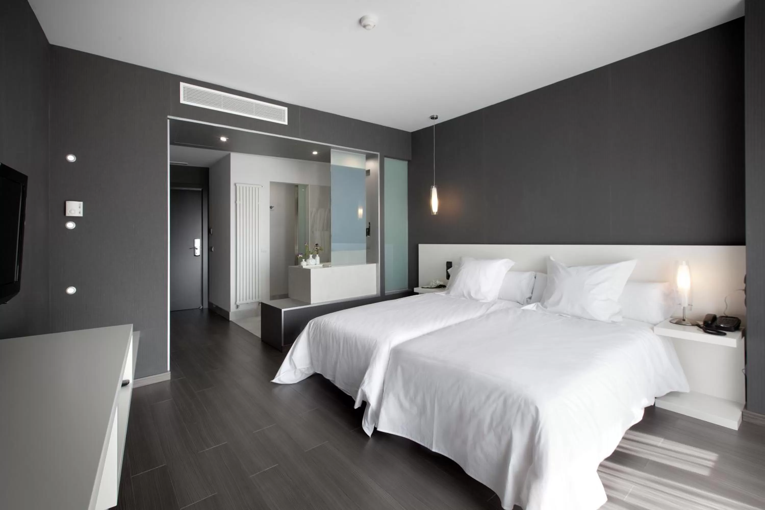 Standard Twin Room in Hotel MasMonzon