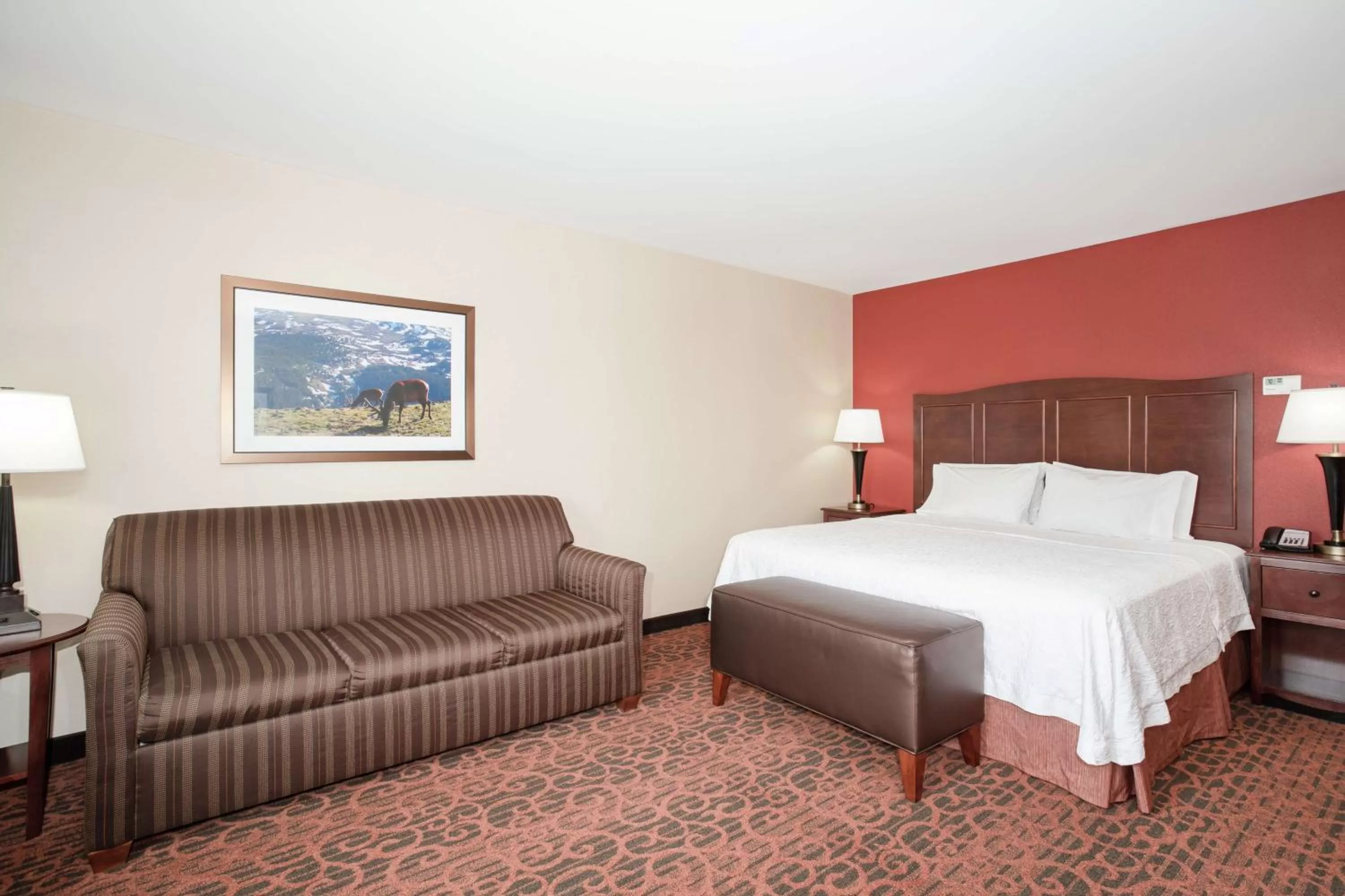 King Room with Sofa Bed - Hearing Accessible/Non-Smoking in Hampton Inn and Suites Denver/South-RidgeGate
