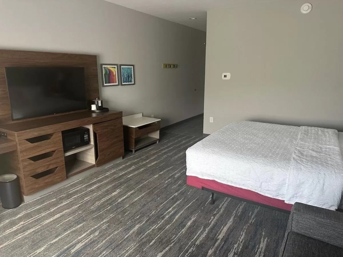 King Room with Sofa Bed - Non-Smoking in Hampton Inn & Suites Ruskin I-75, FL