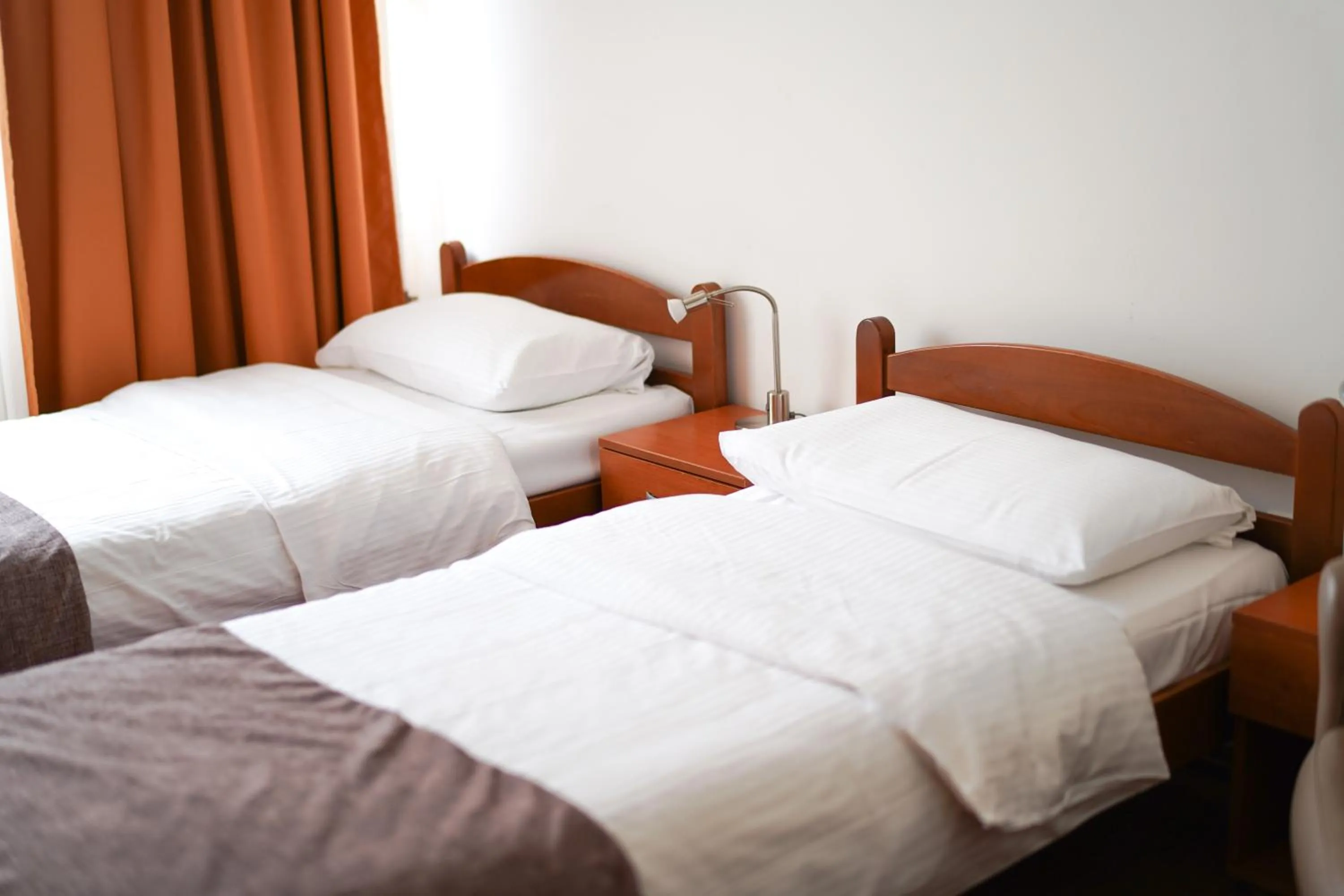Twin Room with Free Parking in Hotel Srbija-FREE PARKING