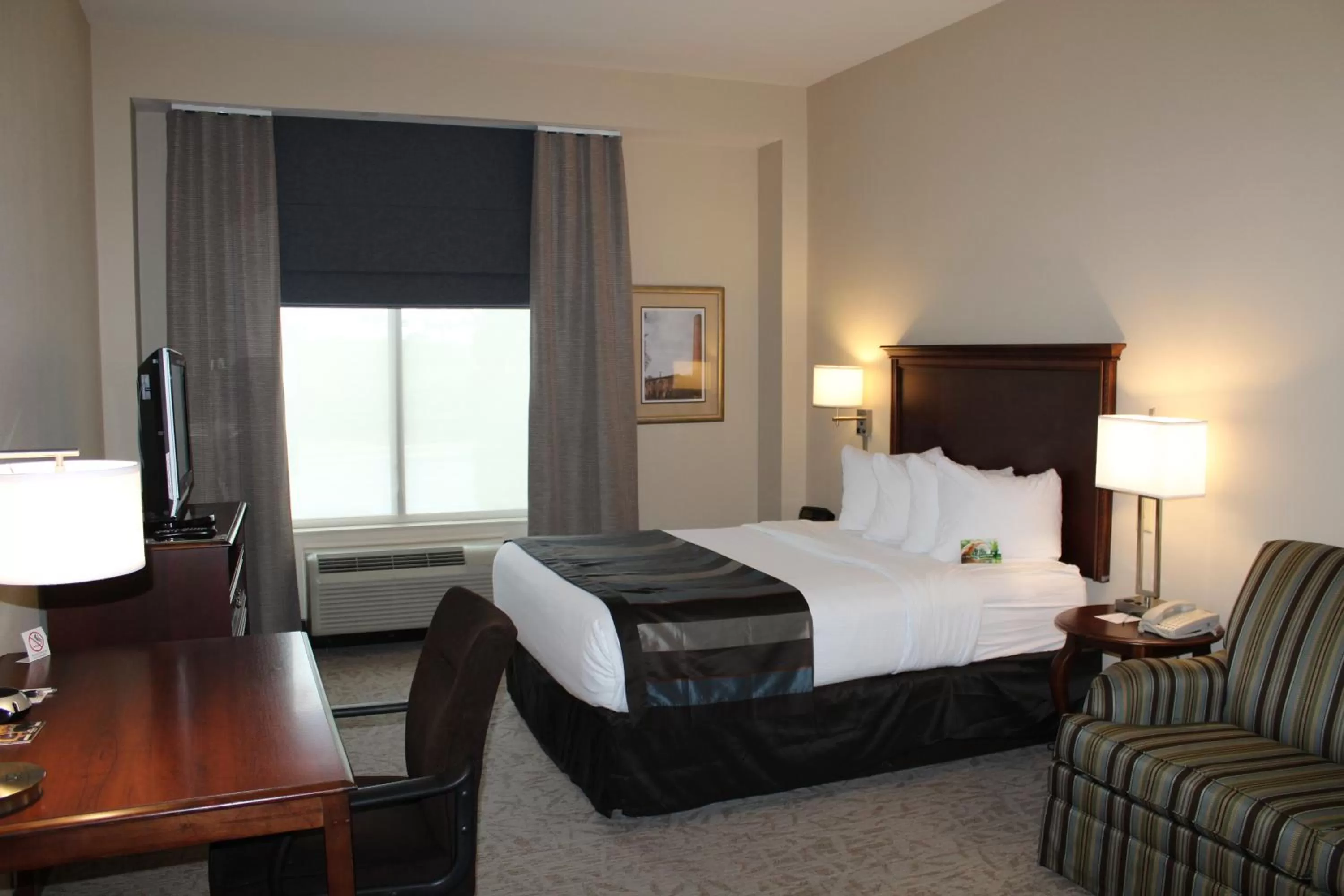 Queen Room - Disability Access/Non-Smoking in Wingate by Wyndham Columbia/Lexington