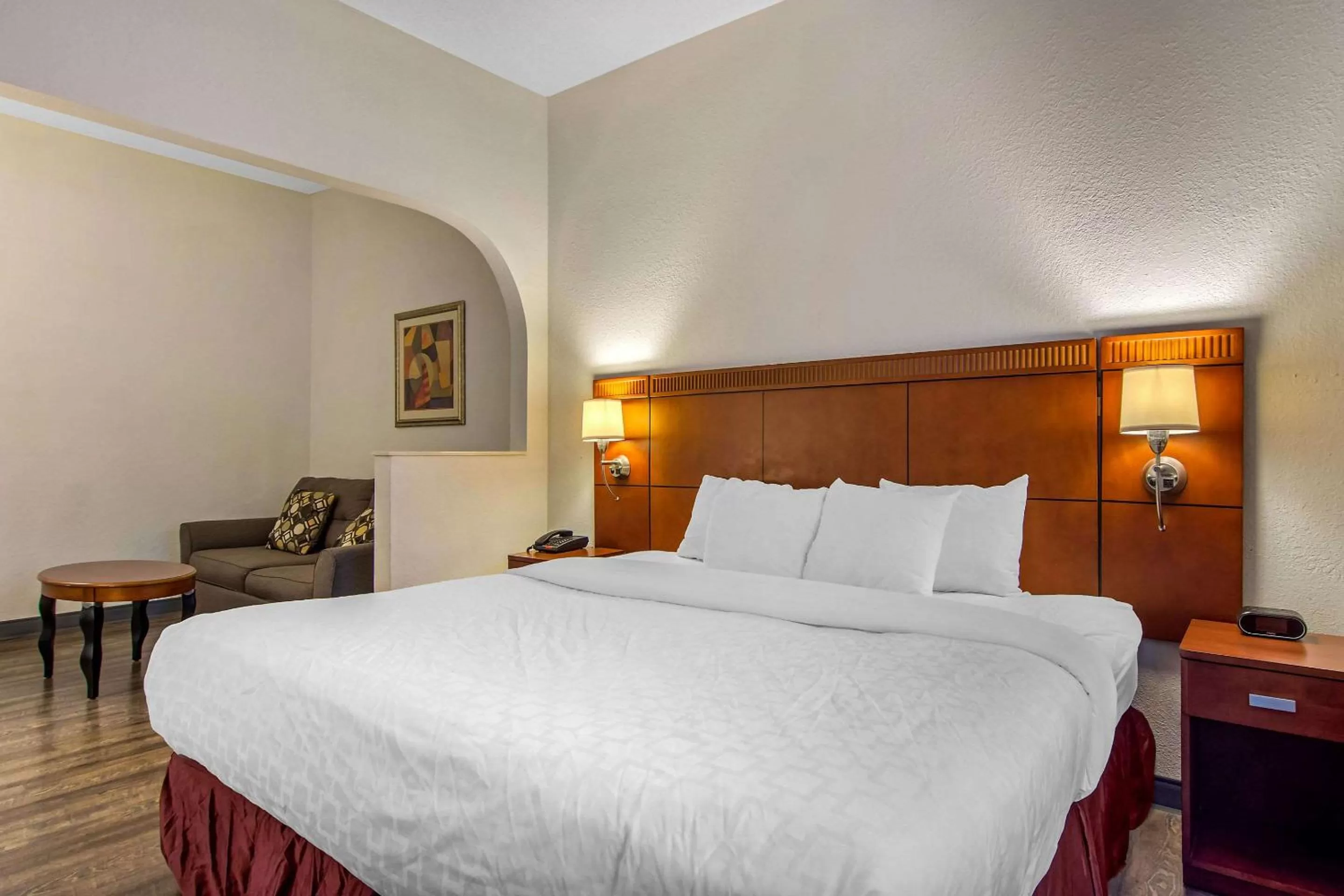 King Suite - Disability Access/Non-Smoking in Clarion Suites Duluth I-85