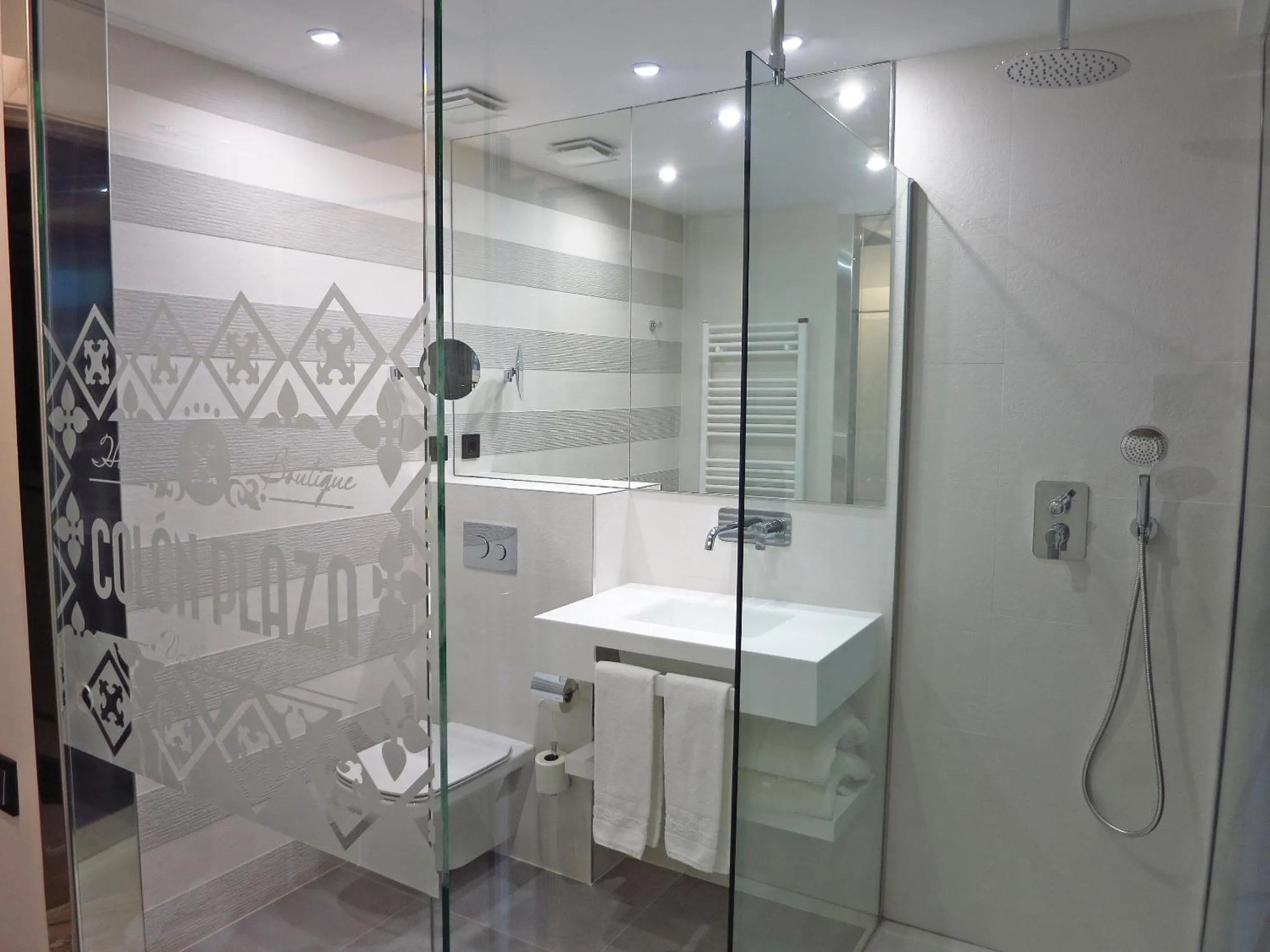 Double or Twin Room - single occupancy in Hotel Colón Plaza