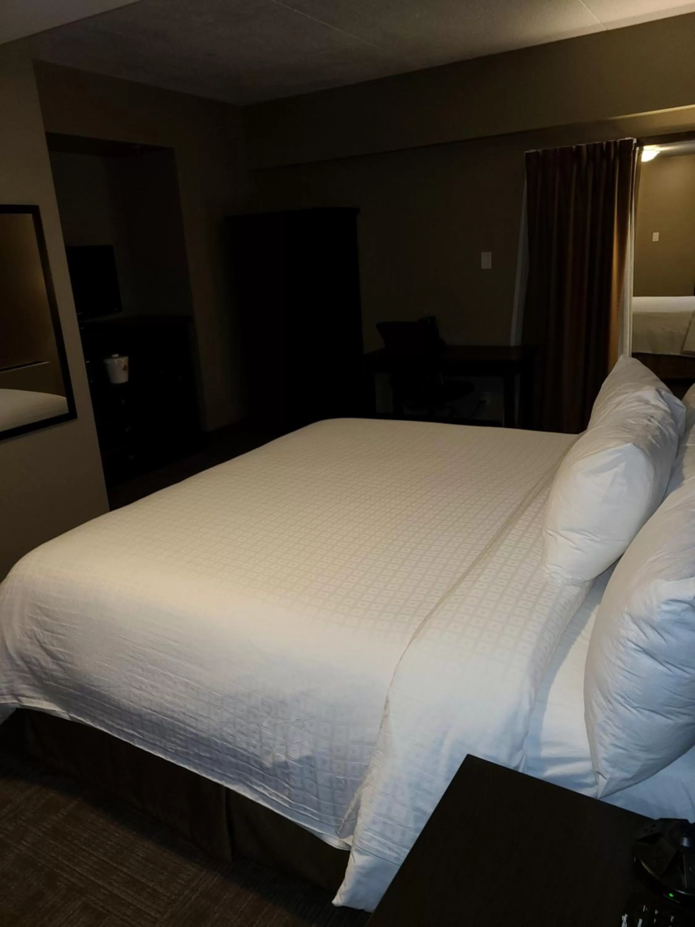 King Room in Canad Inns Destination Centre Portage la Prairie