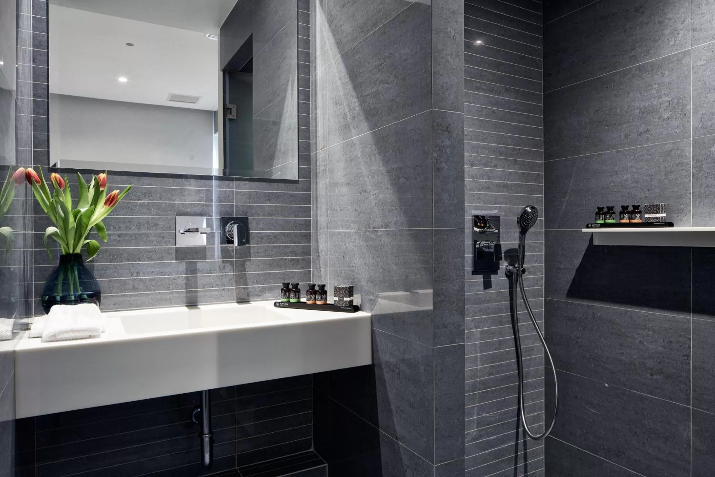 Economy Double Room in Athens4