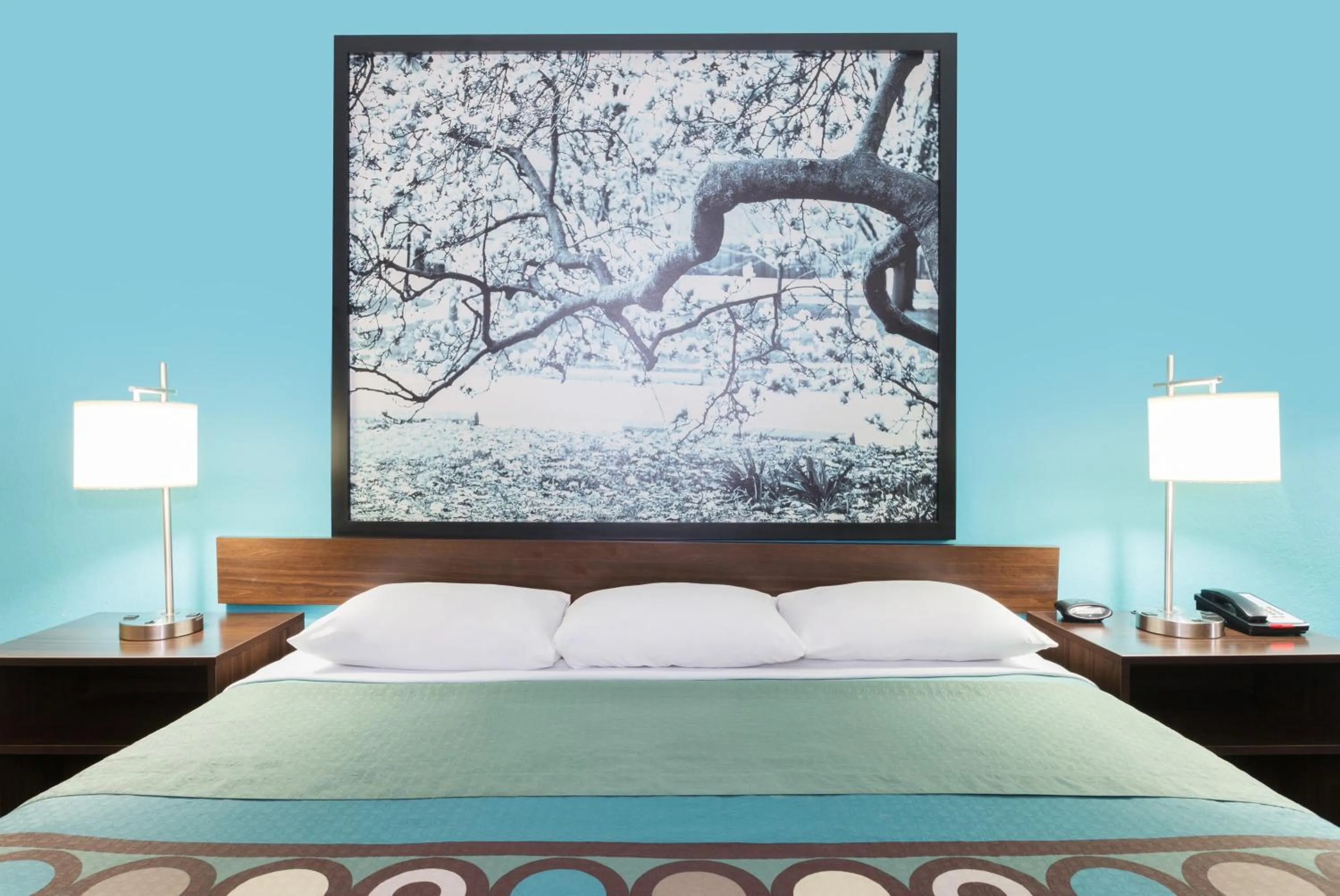 King Studio Suite - Smoking in Super 8 by Wyndham Brunswick South I-95