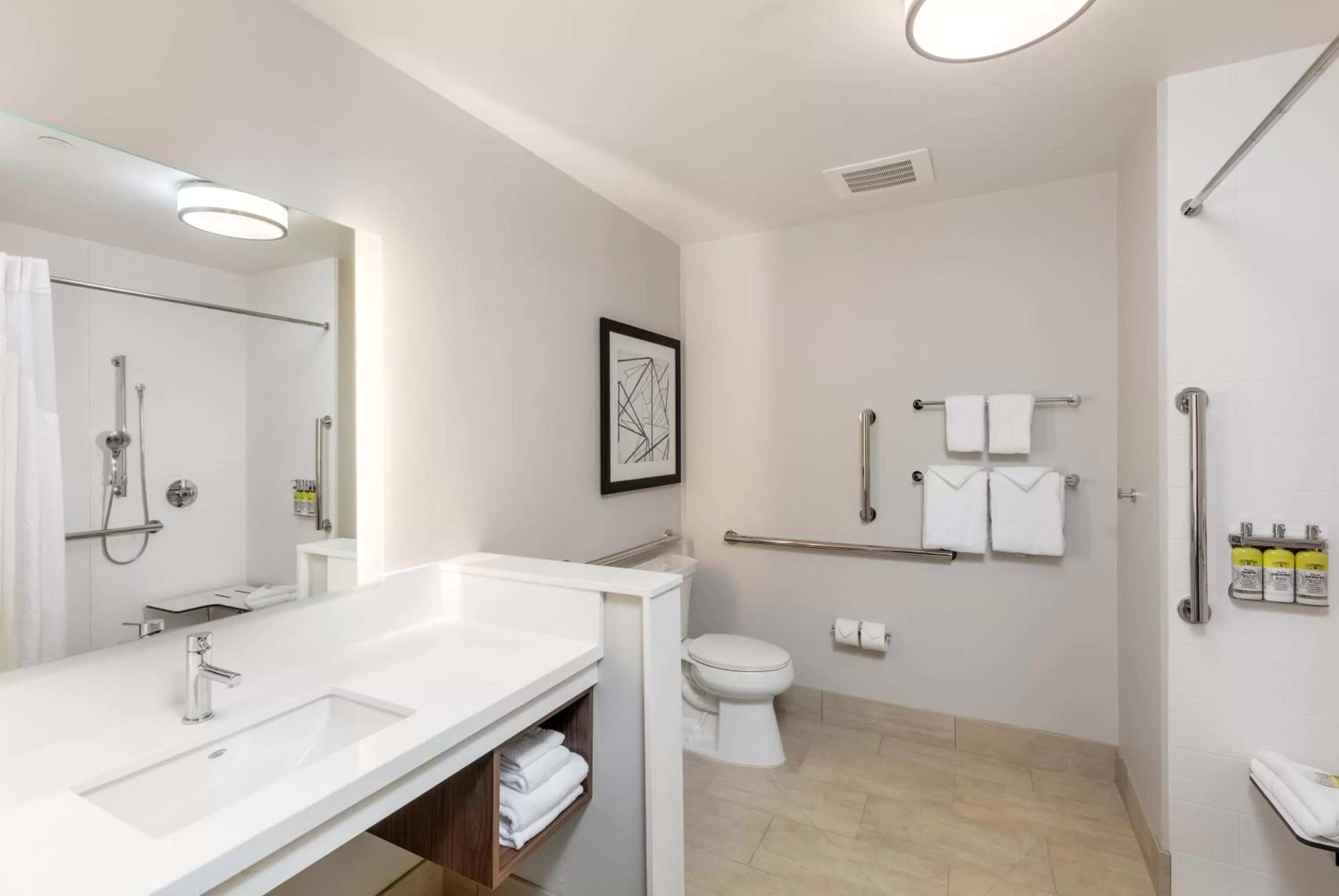Standard King Room with Roll-in Shower - Mobility Accessible in Holiday Inn Express & Suites - Moreno Valley - Riverside by IHG