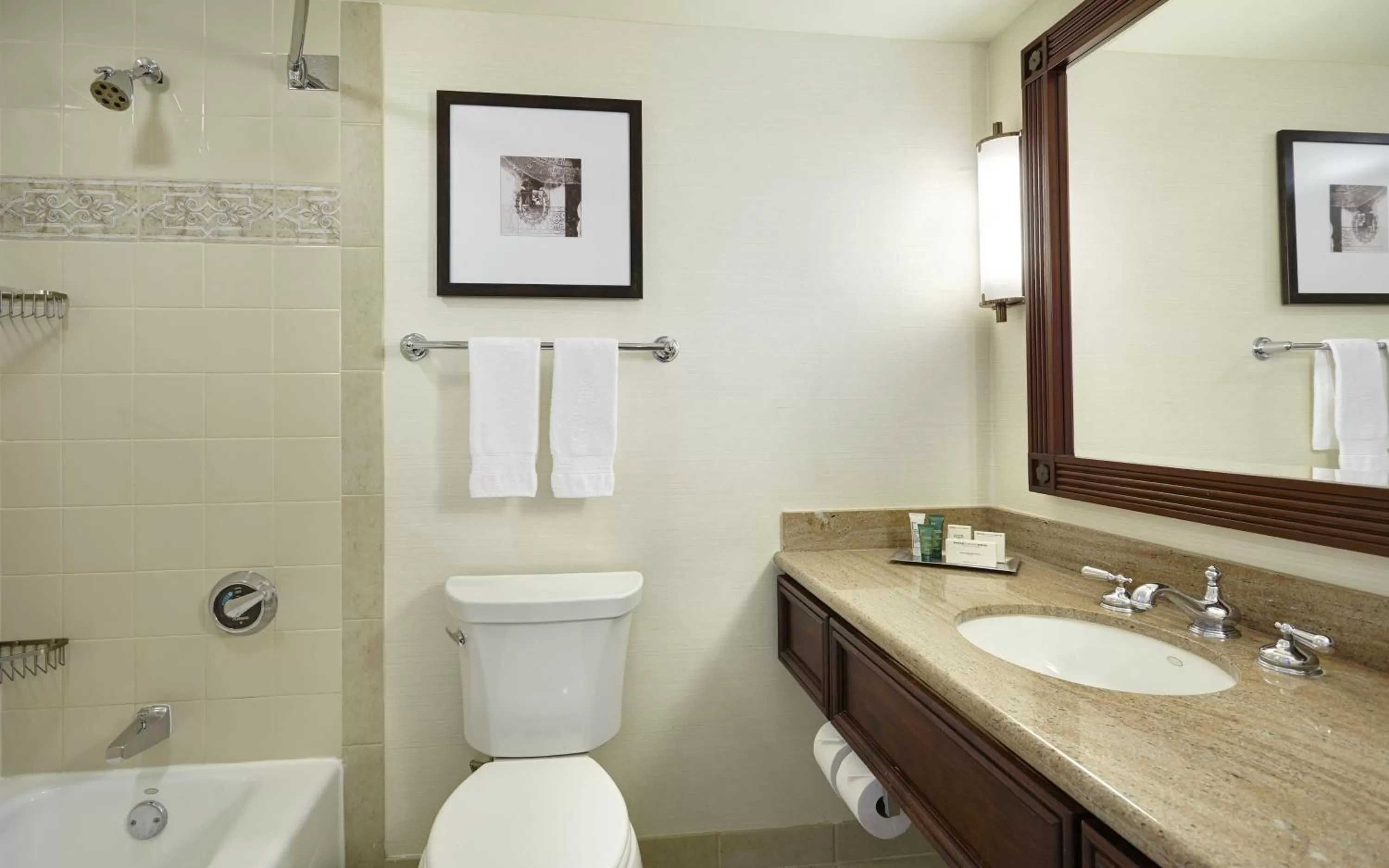 Deluxe King Room - Hearing Accessible  in Hilton New Orleans Riverside