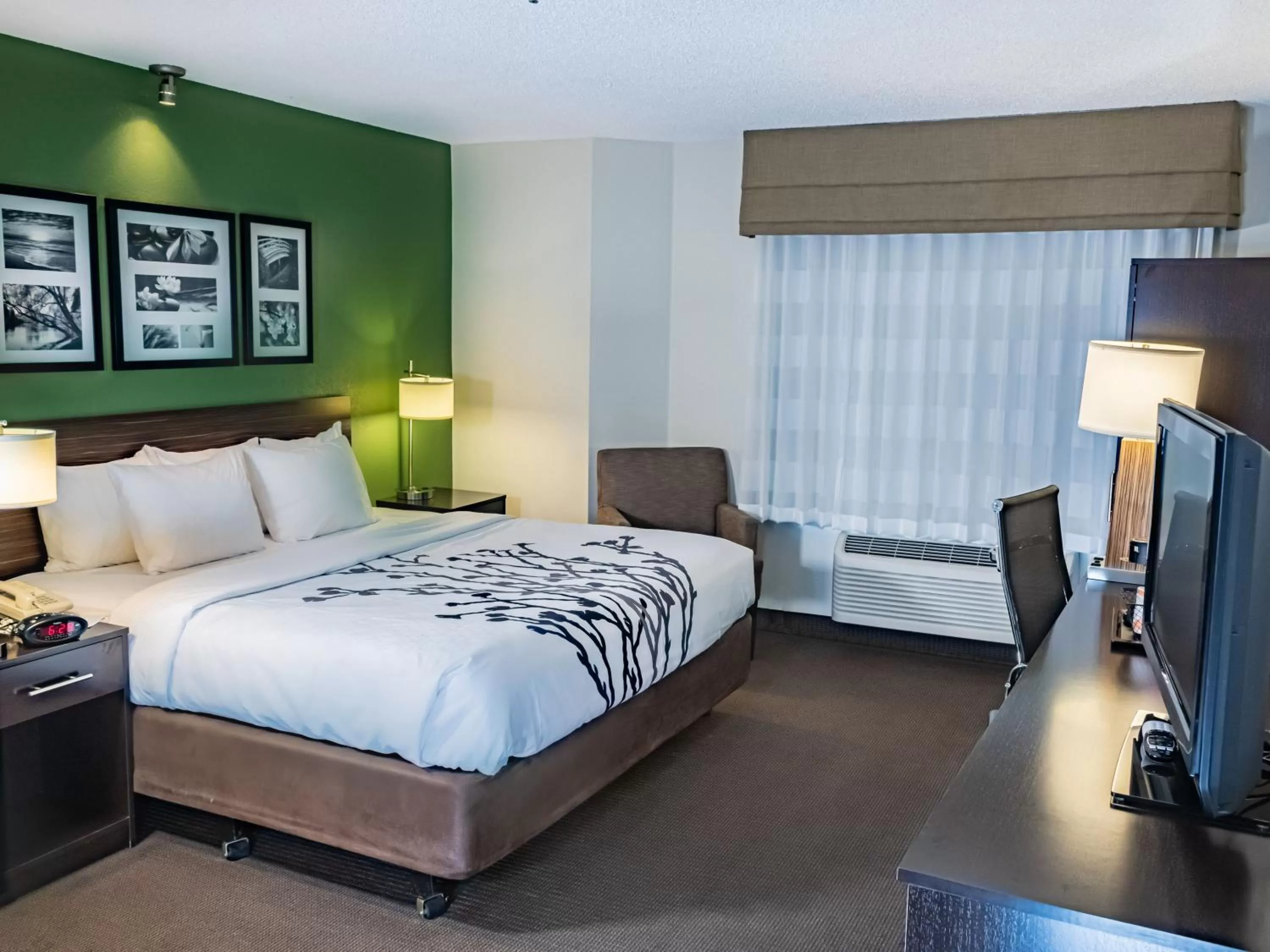 King Room - Non-Smoking in Sleep Inn Pasco Tri -Cities