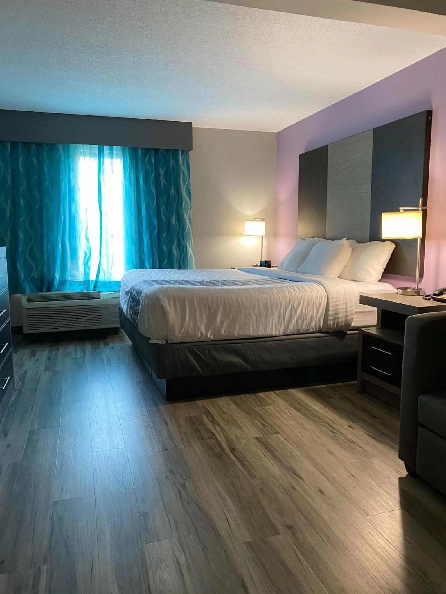 Standard Room King Bed  in La Quinta by Wyndham Clarksville