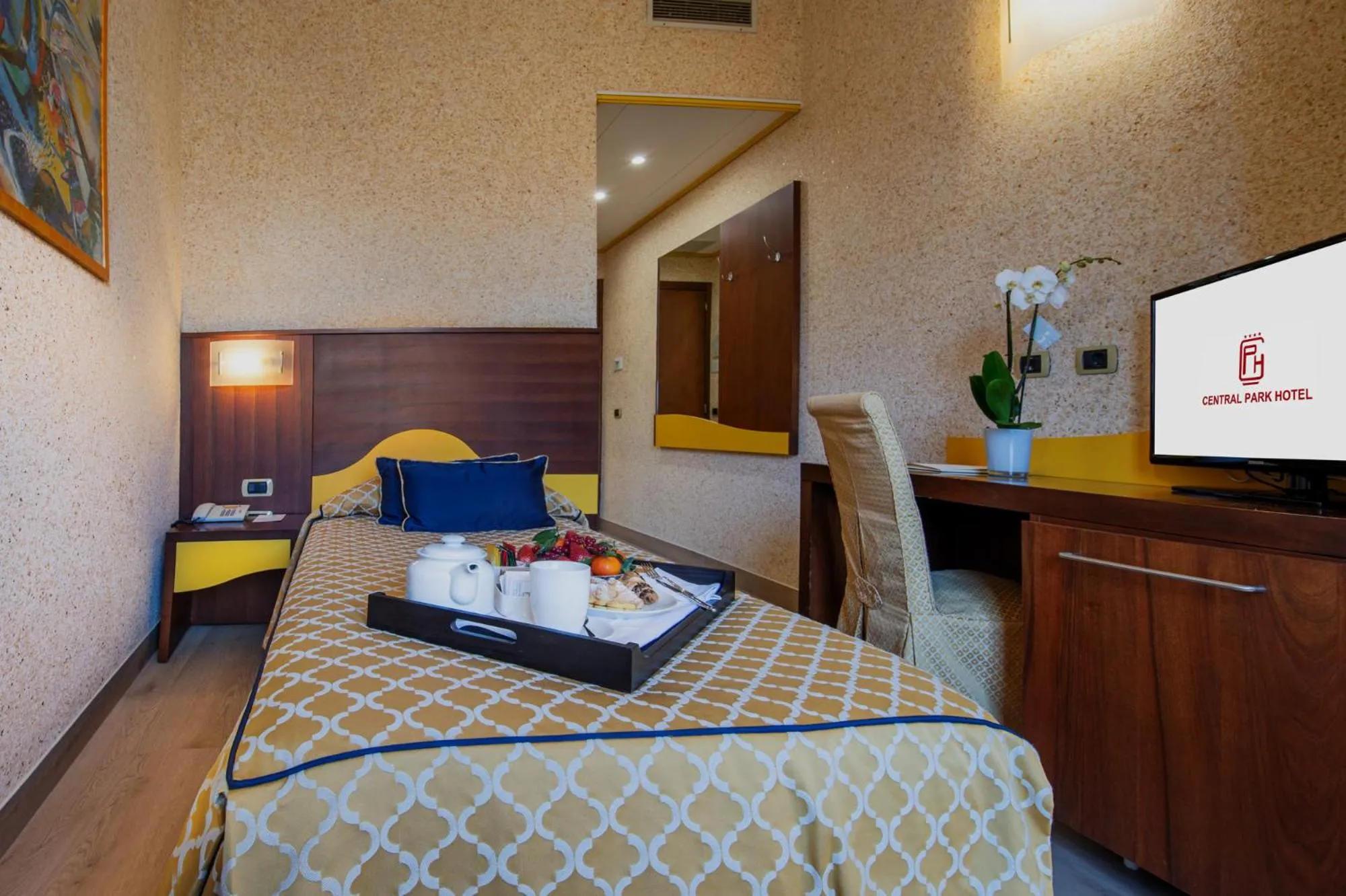 Standard Single Room in Central Park Hotel Modena