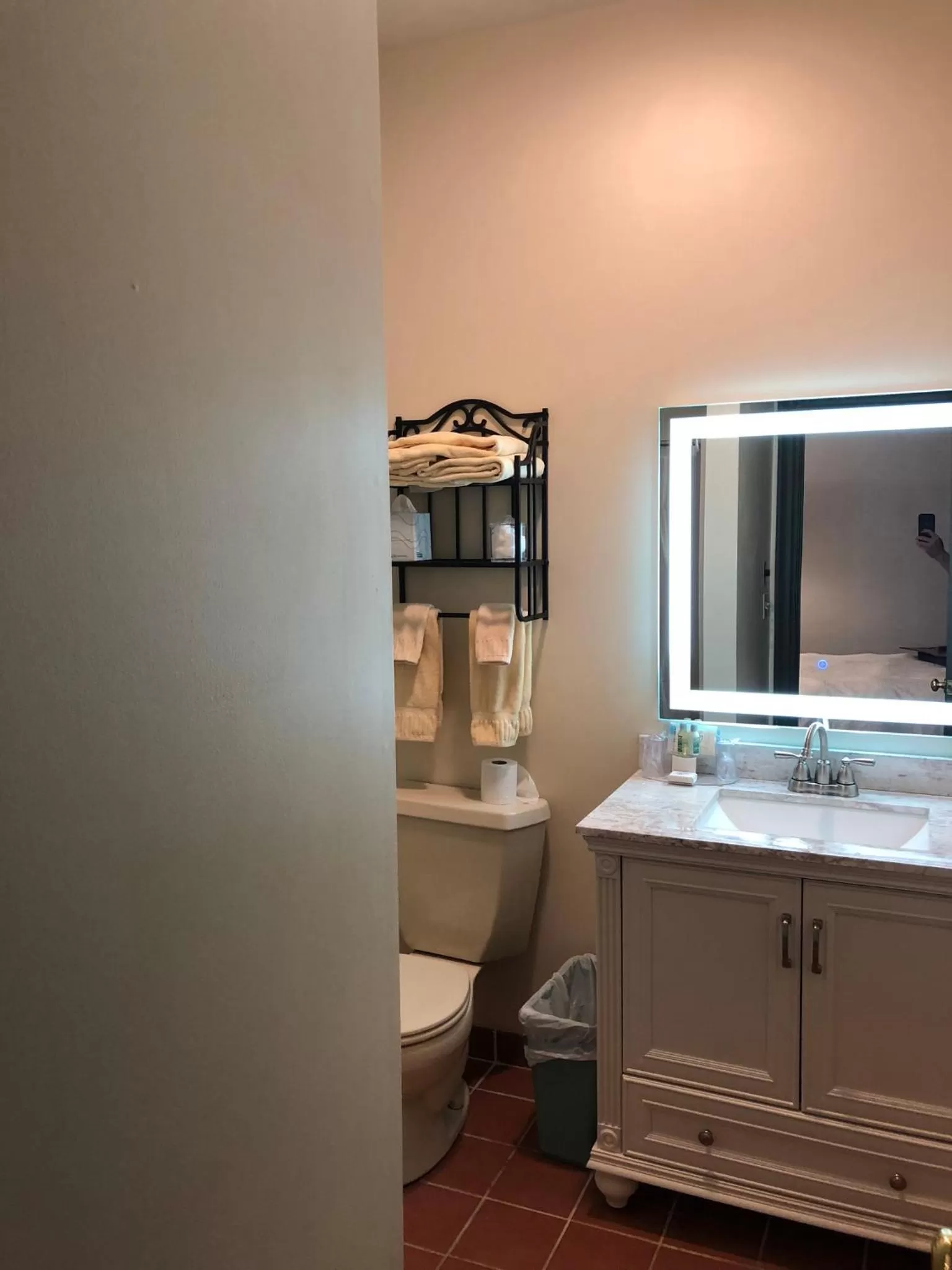 Budget Double Room - single occupancy in Chambery Inn