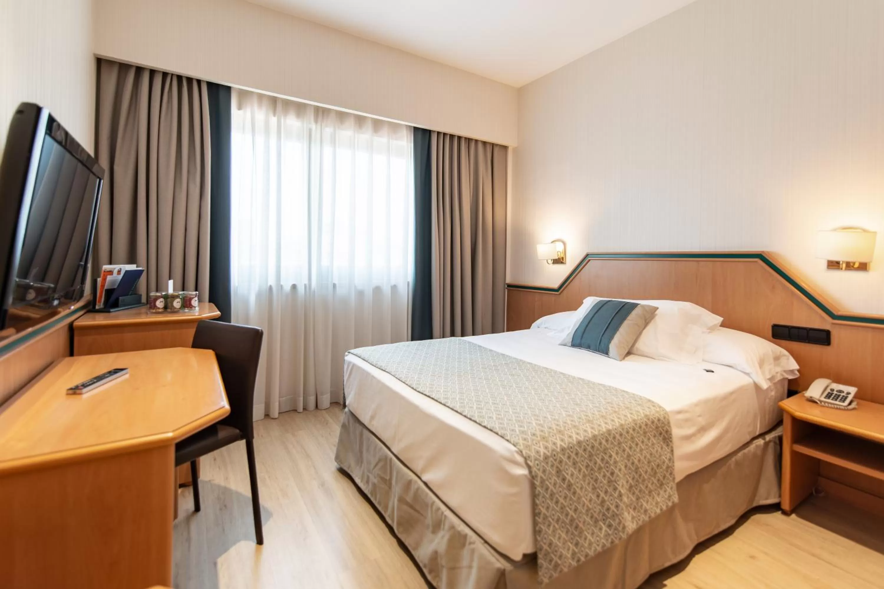 Standard Single Room in Hotel Praga