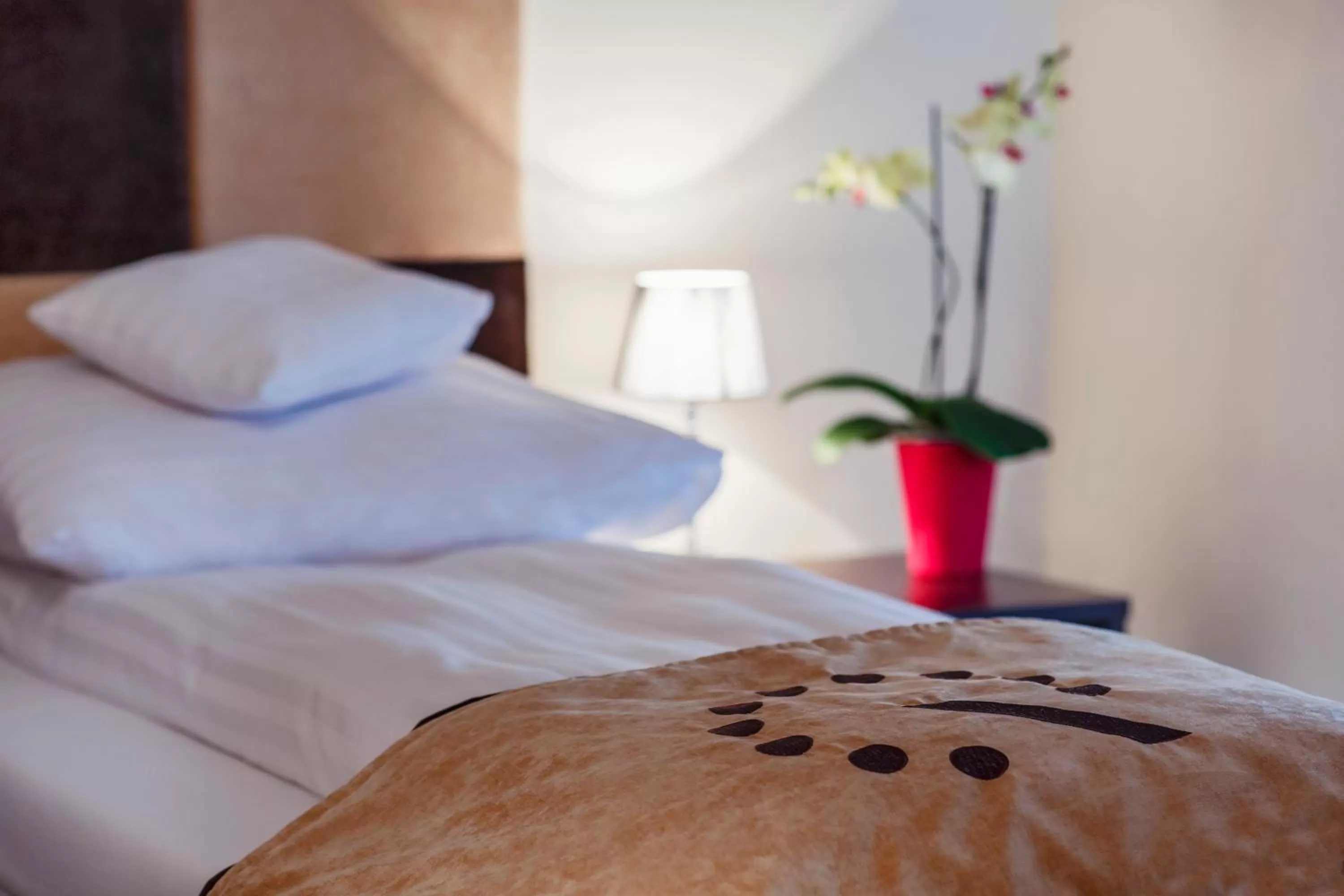 Single Room in Boutique Hotel's Bytom